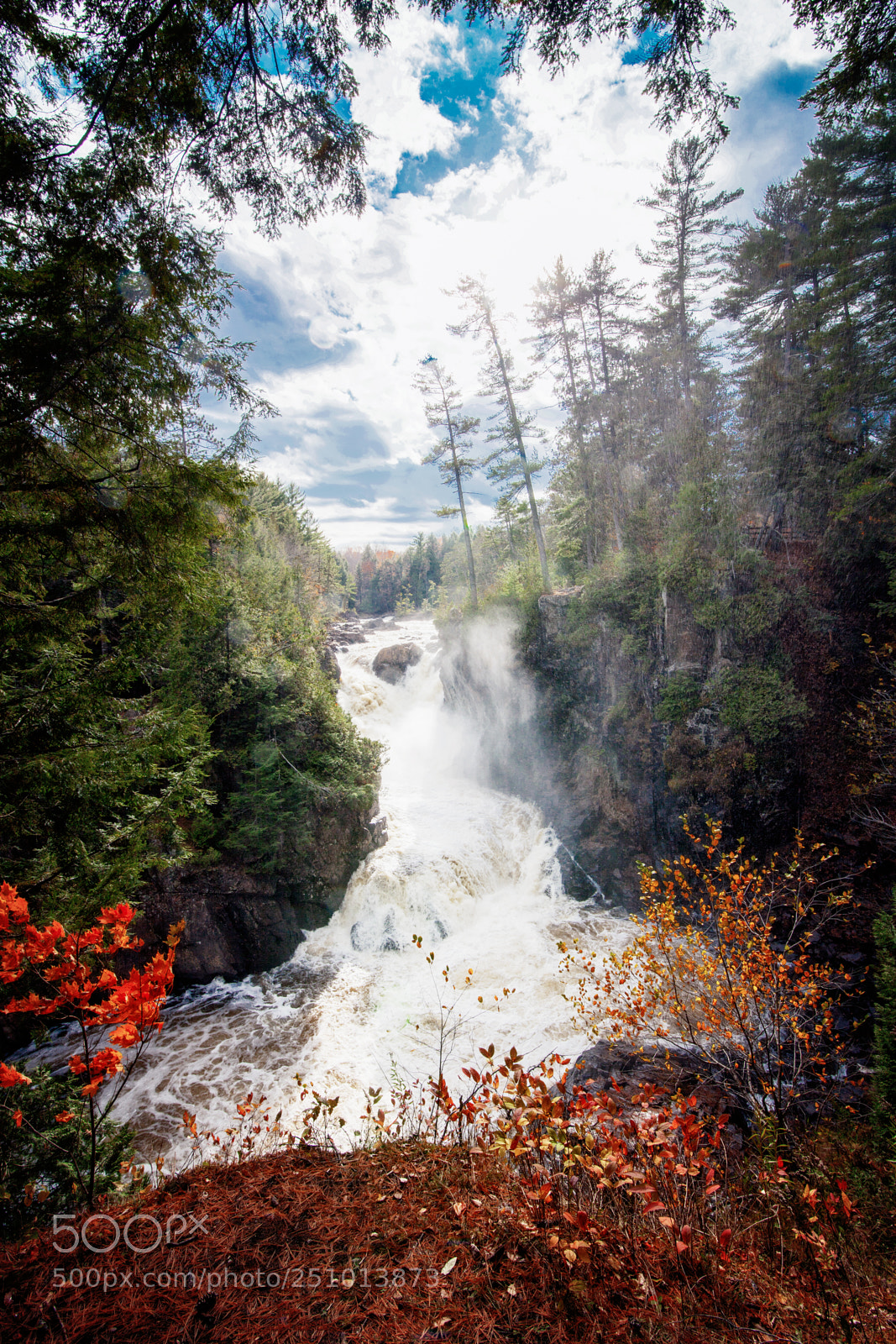 Canon EOS 5D Mark II sample photo. Canadian forests perl photography