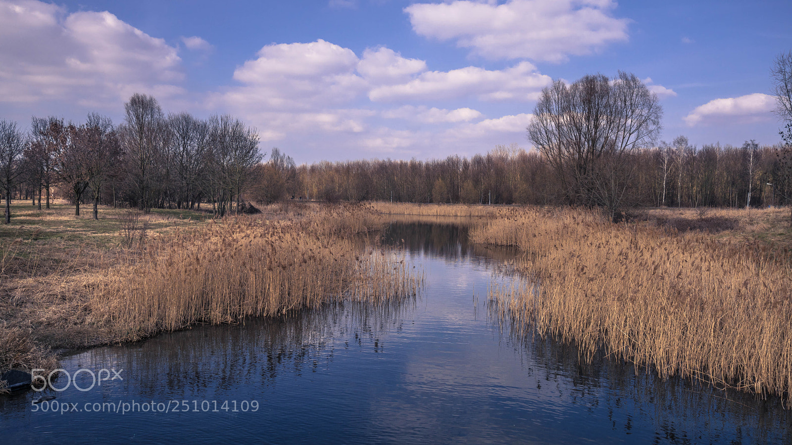 Sony ILCA-77M2 sample photo. Springtime blues photography
