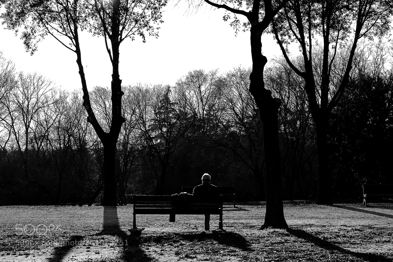 Nikon D3300 sample photo. Untitled photography