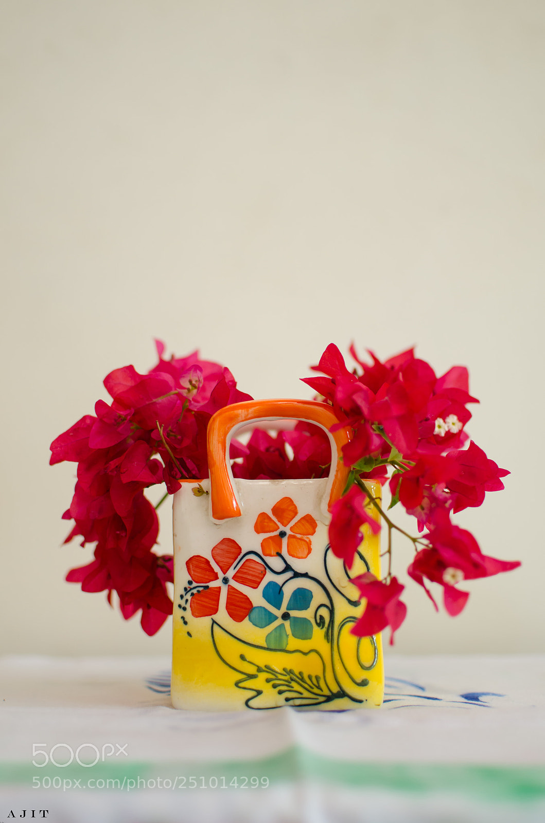 Nikon D7000 sample photo. Bougainvillea photography