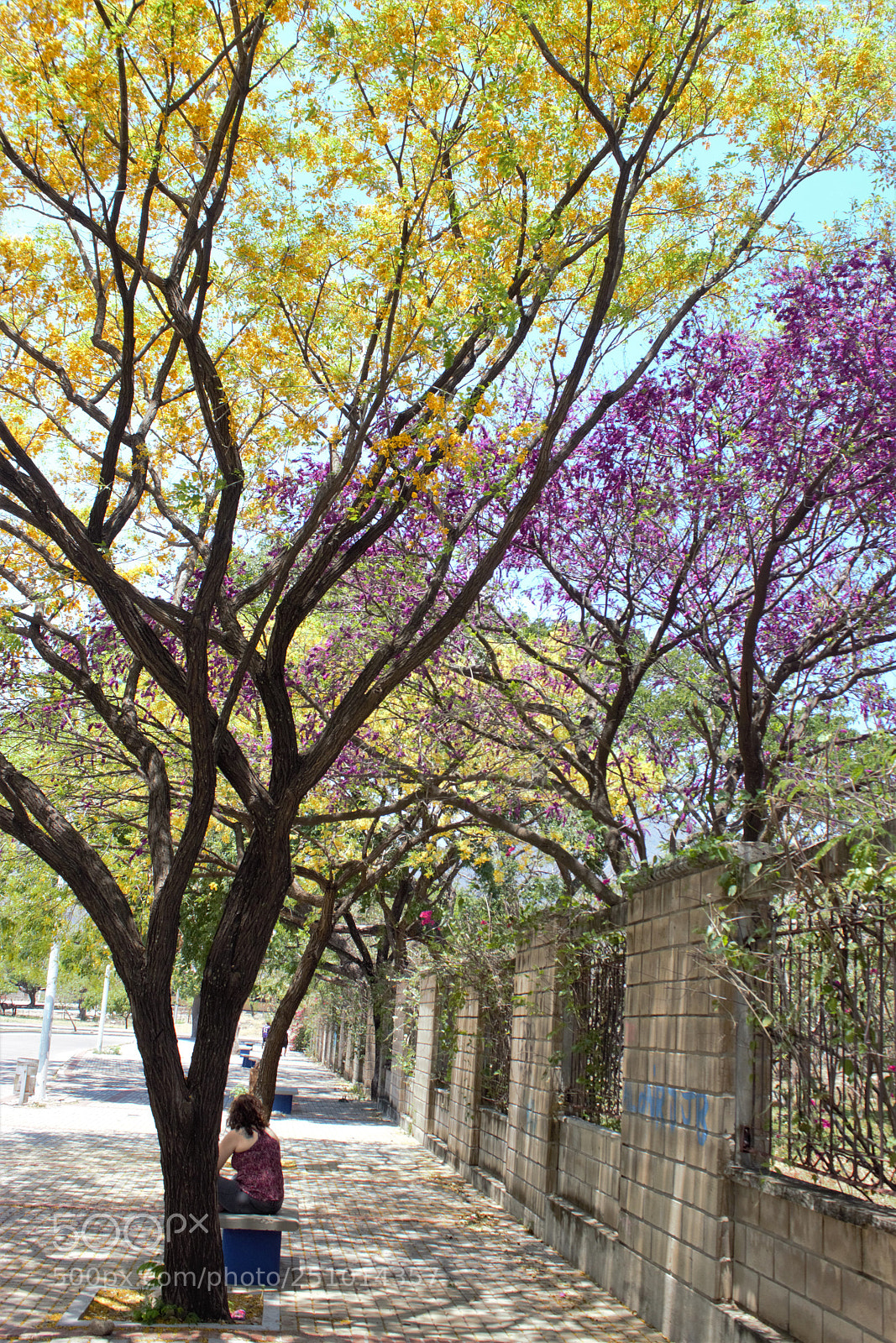 Canon EOS 600D (Rebel EOS T3i / EOS Kiss X5) sample photo. Colores parlantes... photography