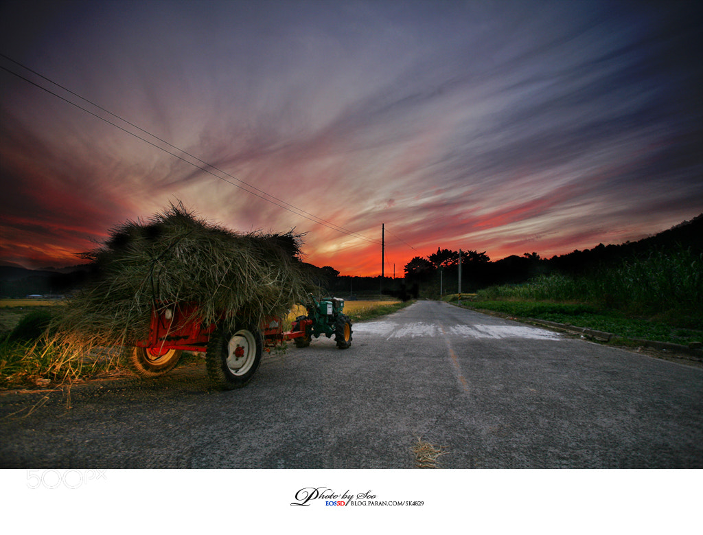 Canon EOS 5D sample photo. Burning photography