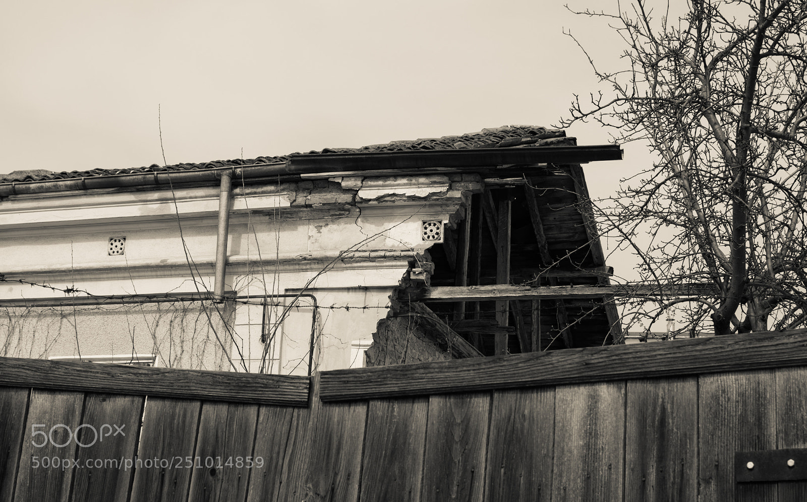 Nikon D5200 sample photo. B/w photography