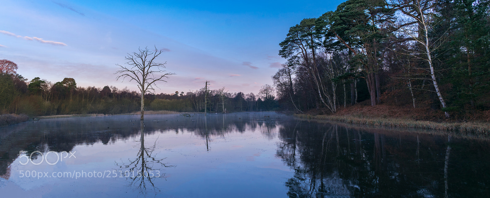 Nikon D5300 sample photo. Morning photography