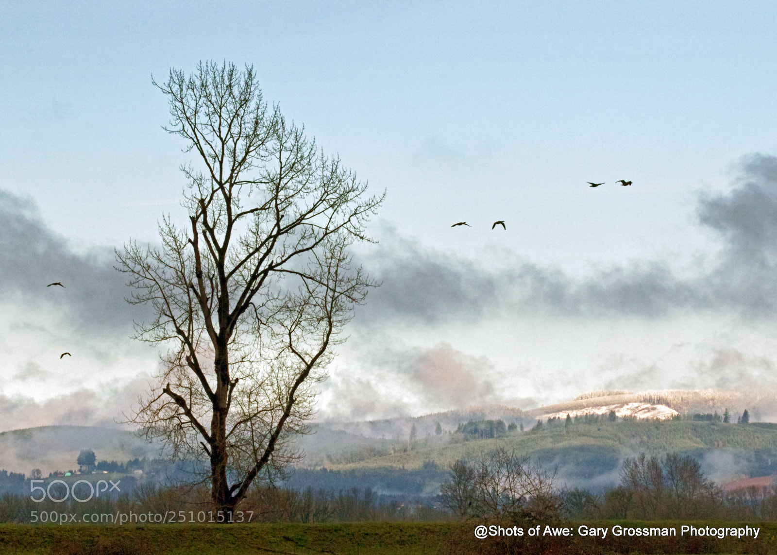 Canon EOS 7D Mark II sample photo. Coastal range dawn photography
