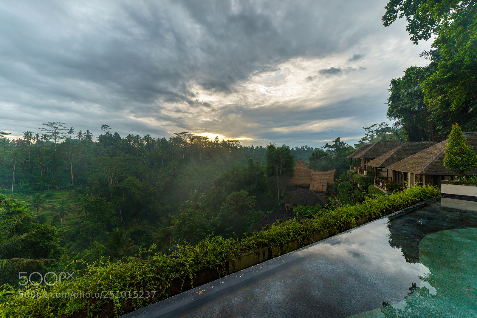 Sony a9 sample photo. Morning in ubud photography