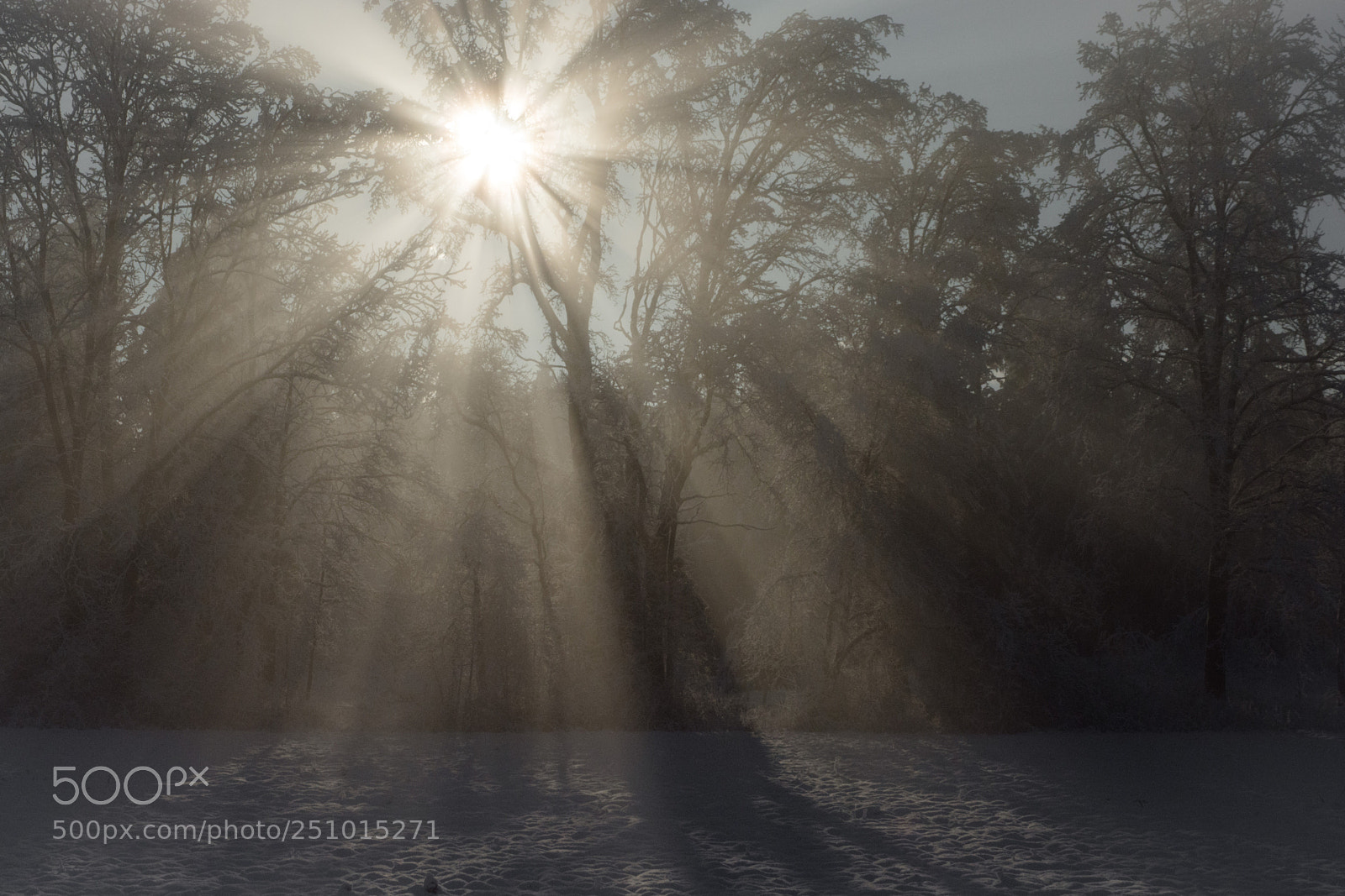 Nikon D7100 sample photo. Sunrise light photography