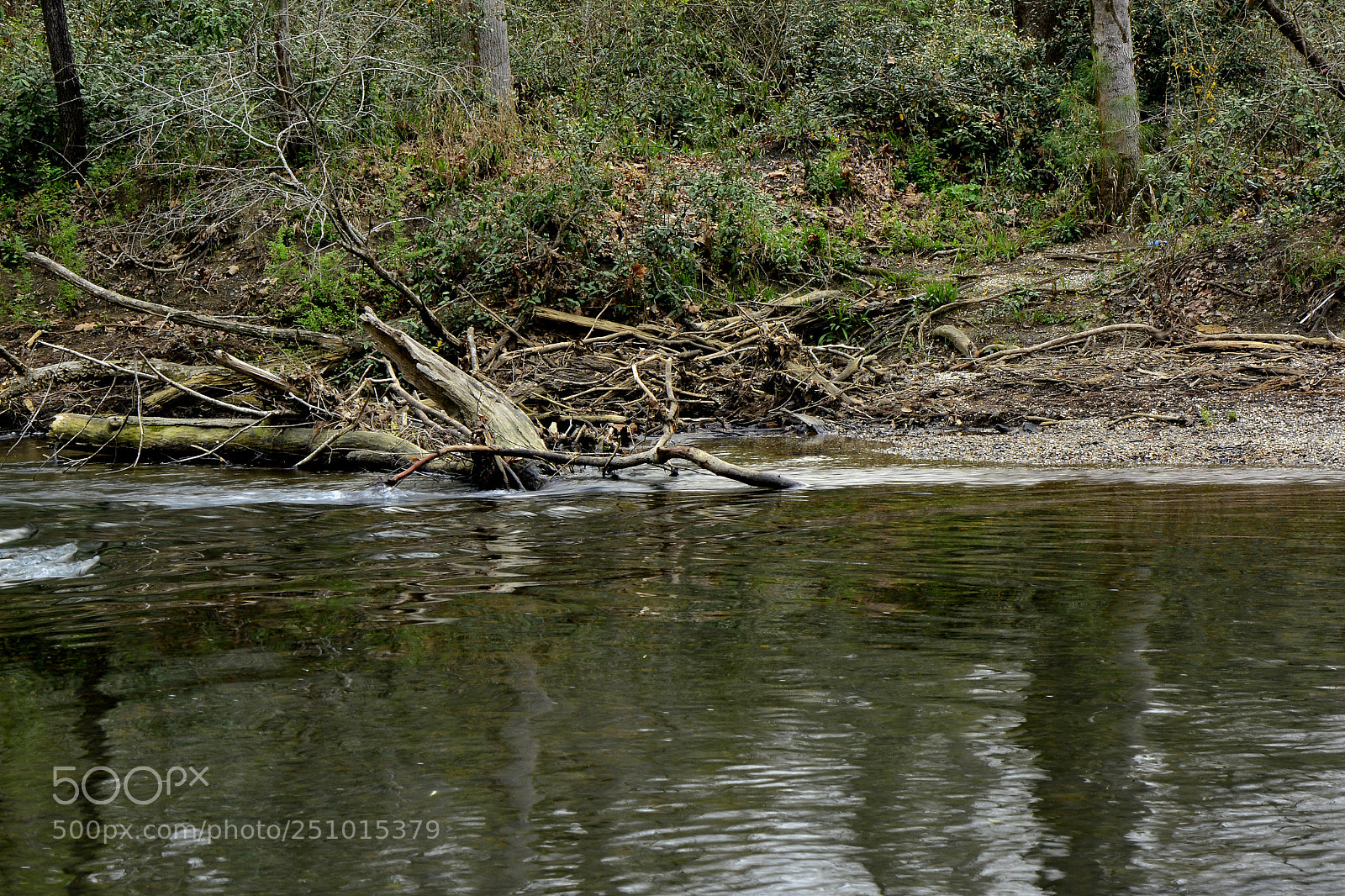 Nikon D7100 sample photo. River debris photography