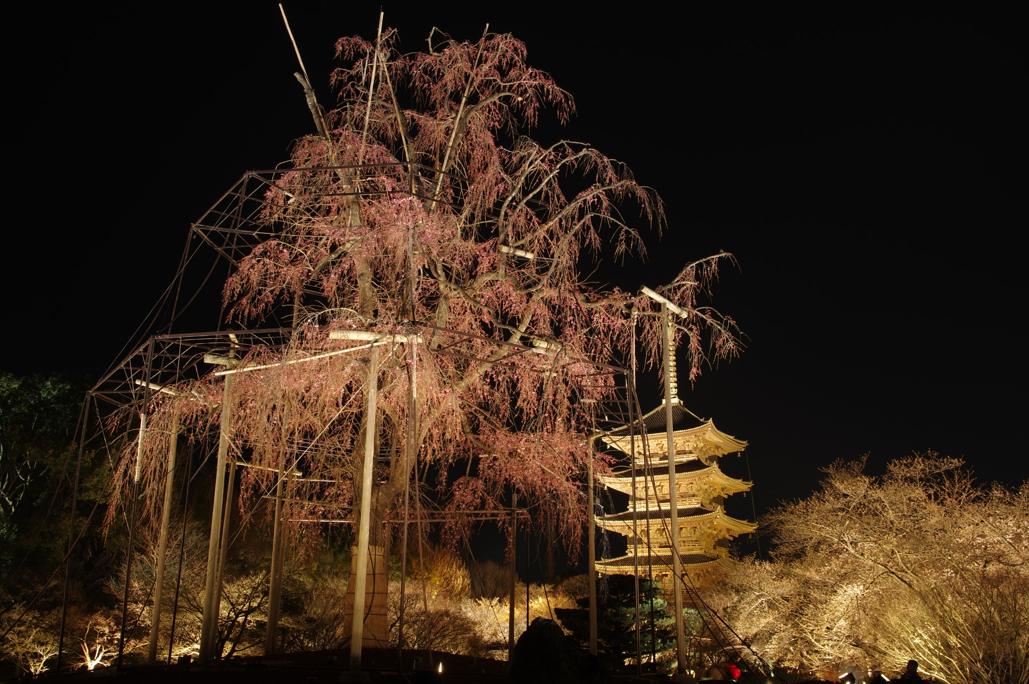 Pentax K-3 II sample photo. Night of tō-ji, kyoto, spring 2018. photography