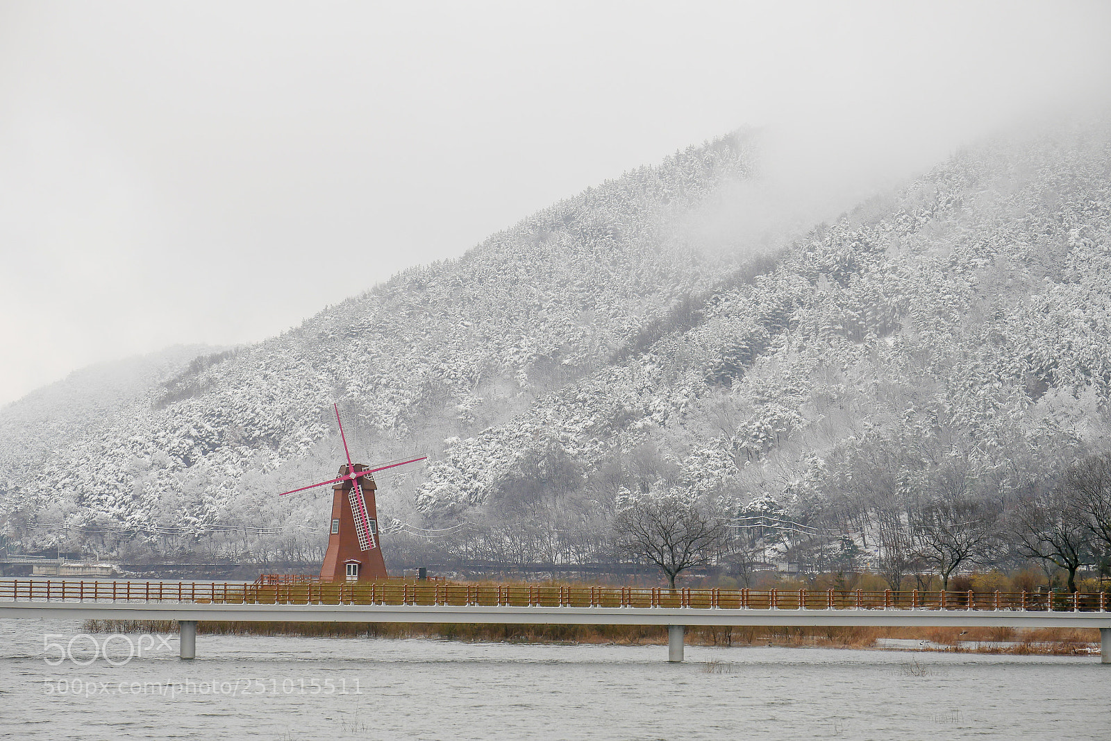 Panasonic Lumix DMC-GX85 (Lumix DMC-GX80 / Lumix DMC-GX7 Mark II) sample photo. 96 photography