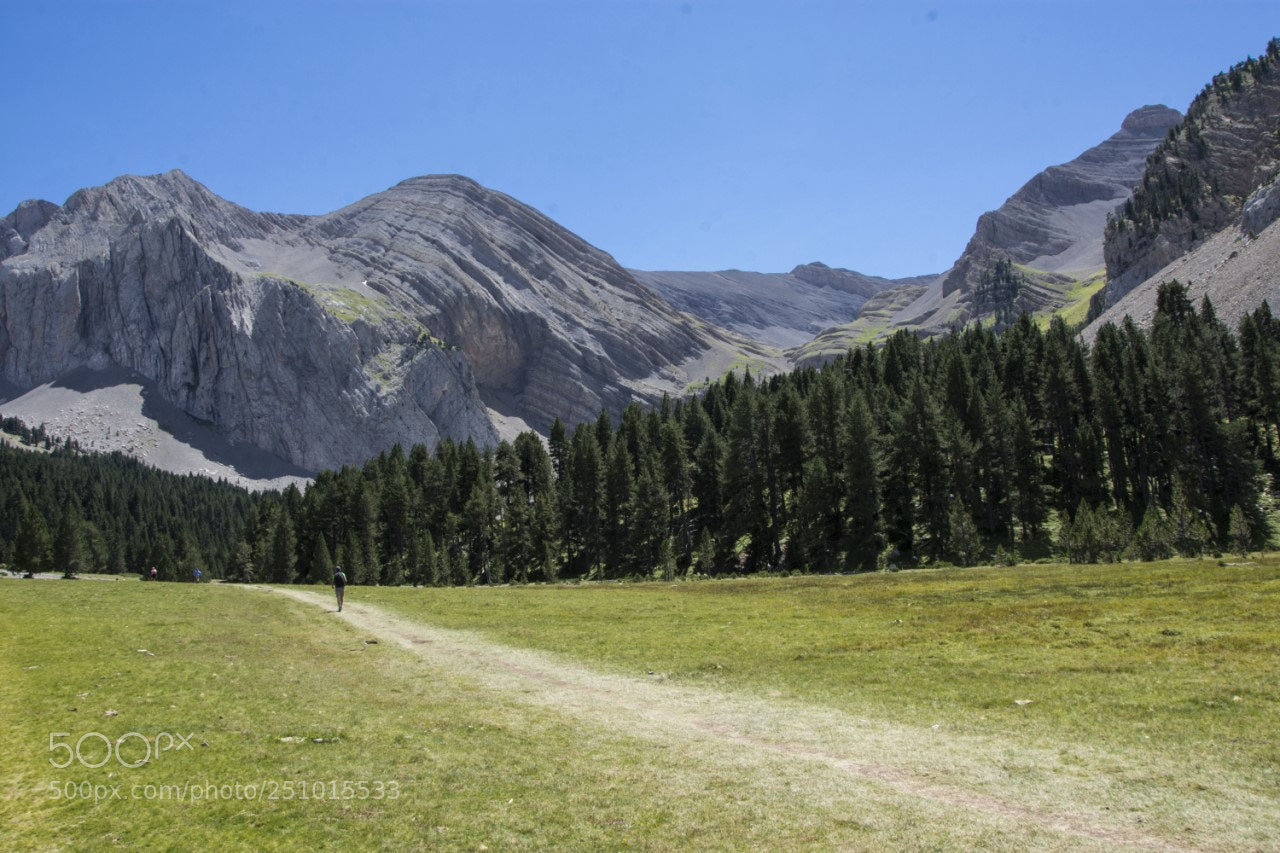 Nikon D7200 sample photo. De excursion photography