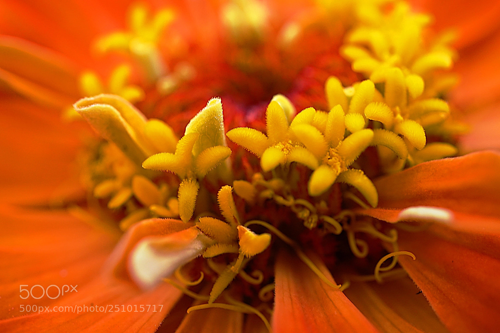 Sony a7 sample photo. 7941.jpg photography
