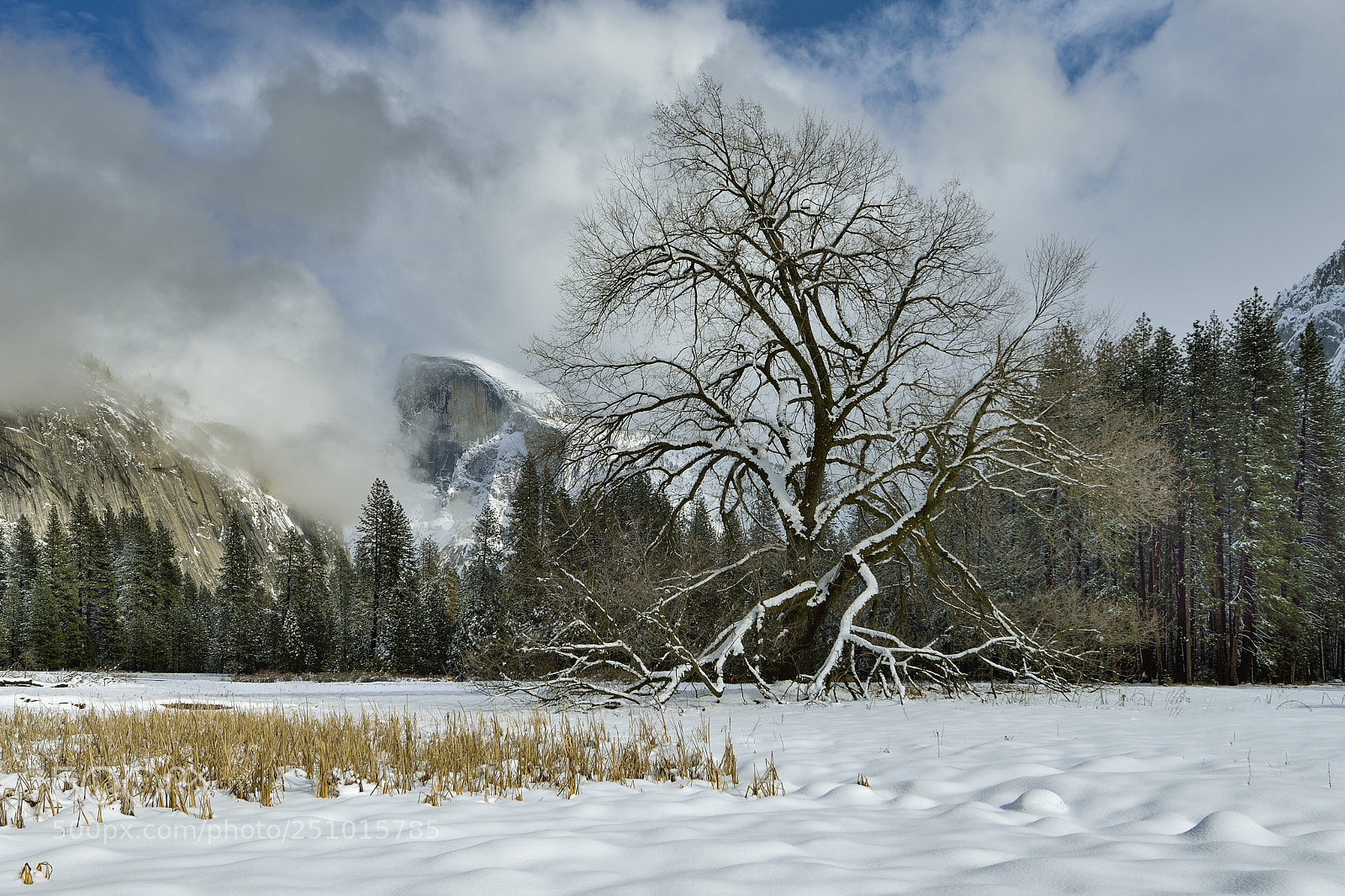 Nikon D800E sample photo. Yosemite afternoon photography
