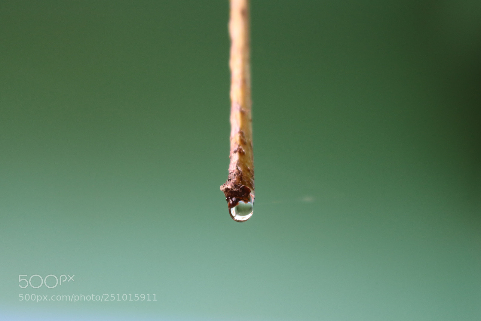 Canon EOS 750D (EOS Rebel T6i / EOS Kiss X8i) sample photo. Drop of water photography