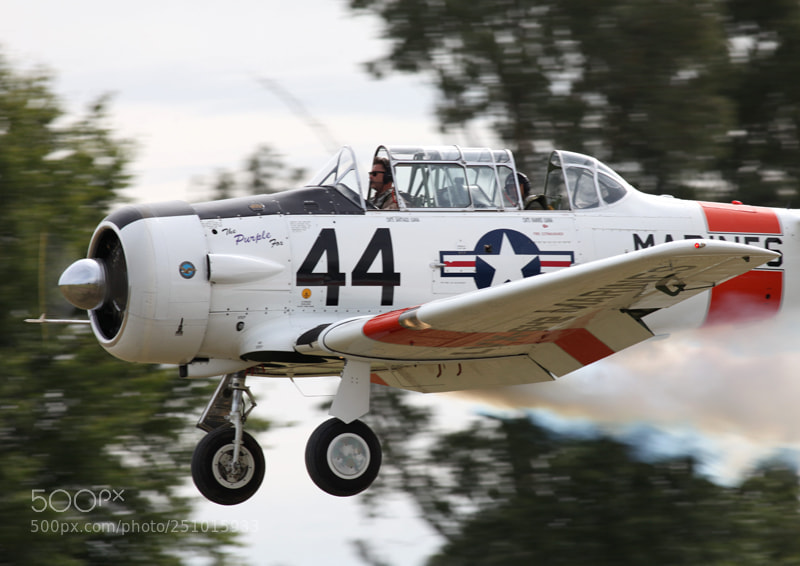 Canon EOS 5D Mark II sample photo. Img photography