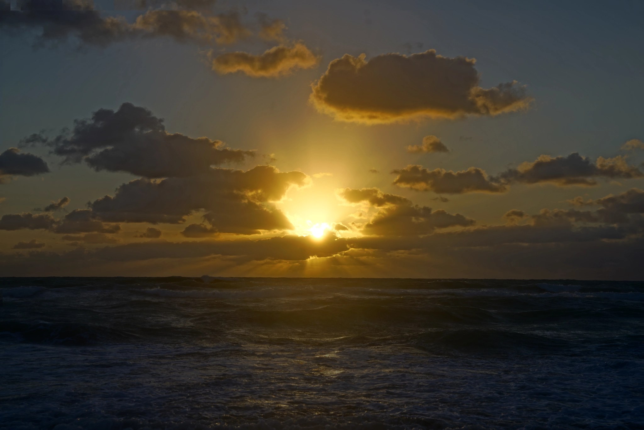 Sony a7R II + Sony FE 24-70mm F2.8 GM sample photo. Good morning hollywood beach 03/27/2018 ,     just another day , day starts with beautiful... photography