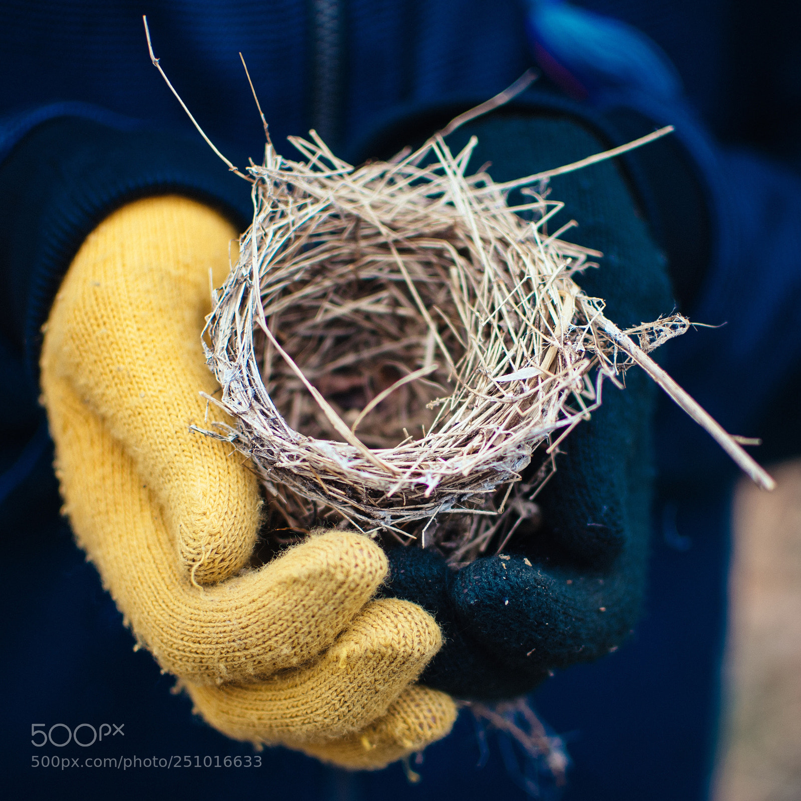 Nikon D3300 sample photo. Little nest photography