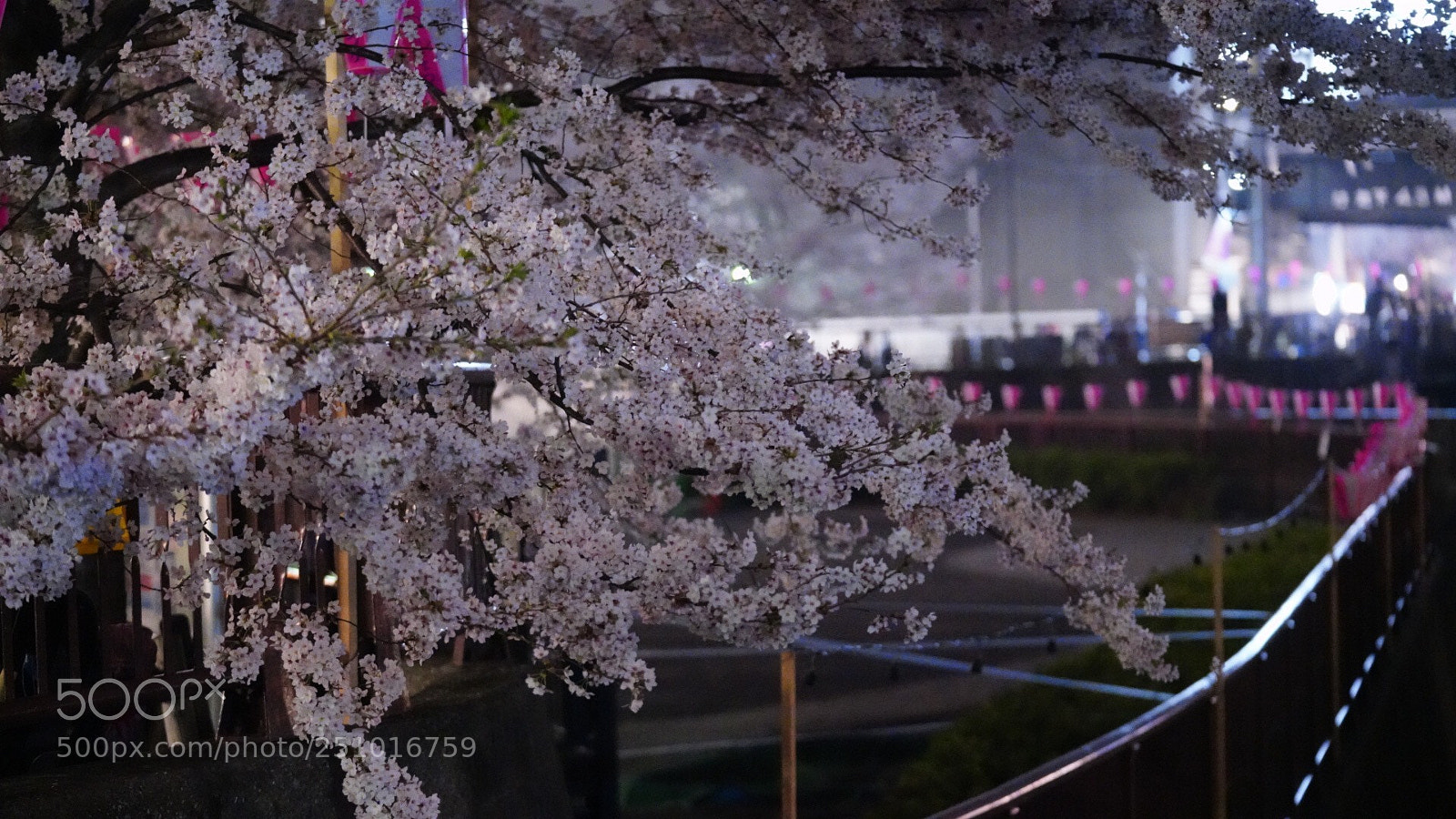 Sony a7R III sample photo. Untitled photography
