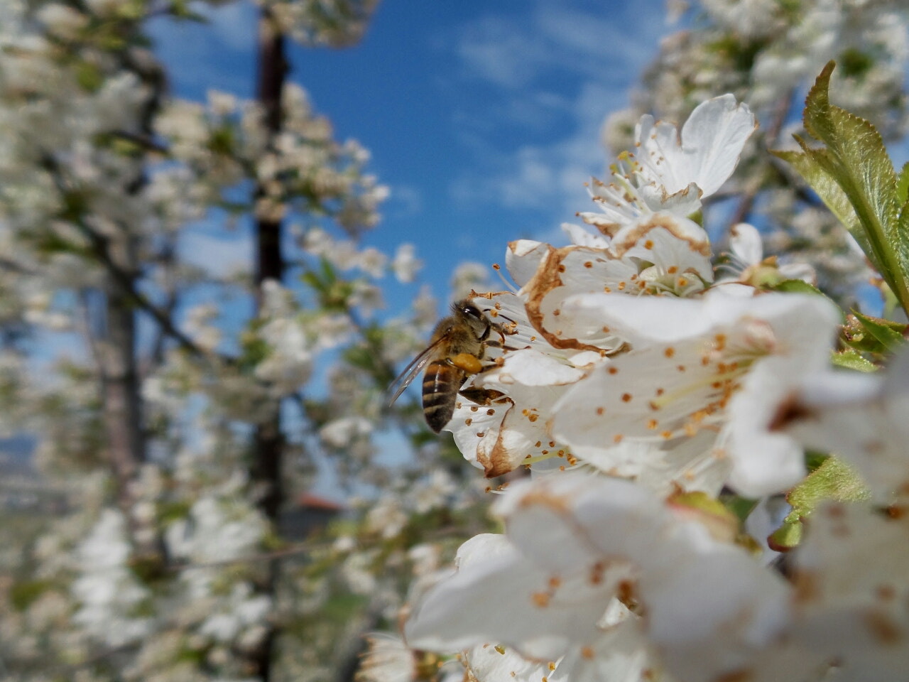 Samsung Galaxy Camera 2 sample photo