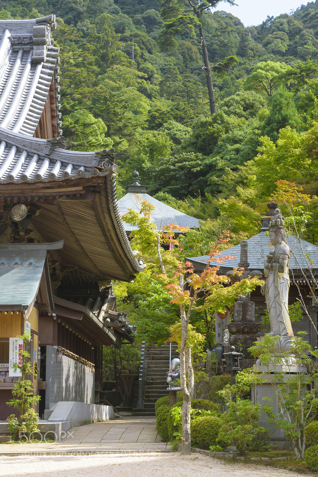 Nikon D5500 sample photo. Daishō-in photography