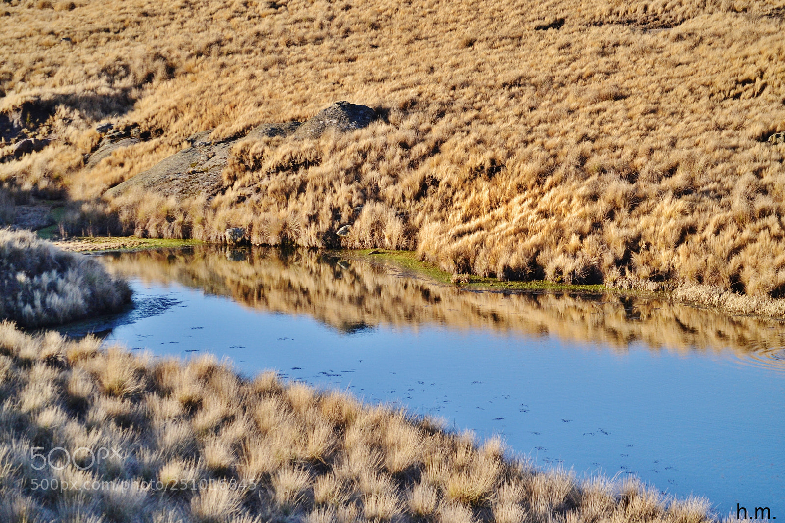 Nikon D3100 sample photo. Dedbbco photography