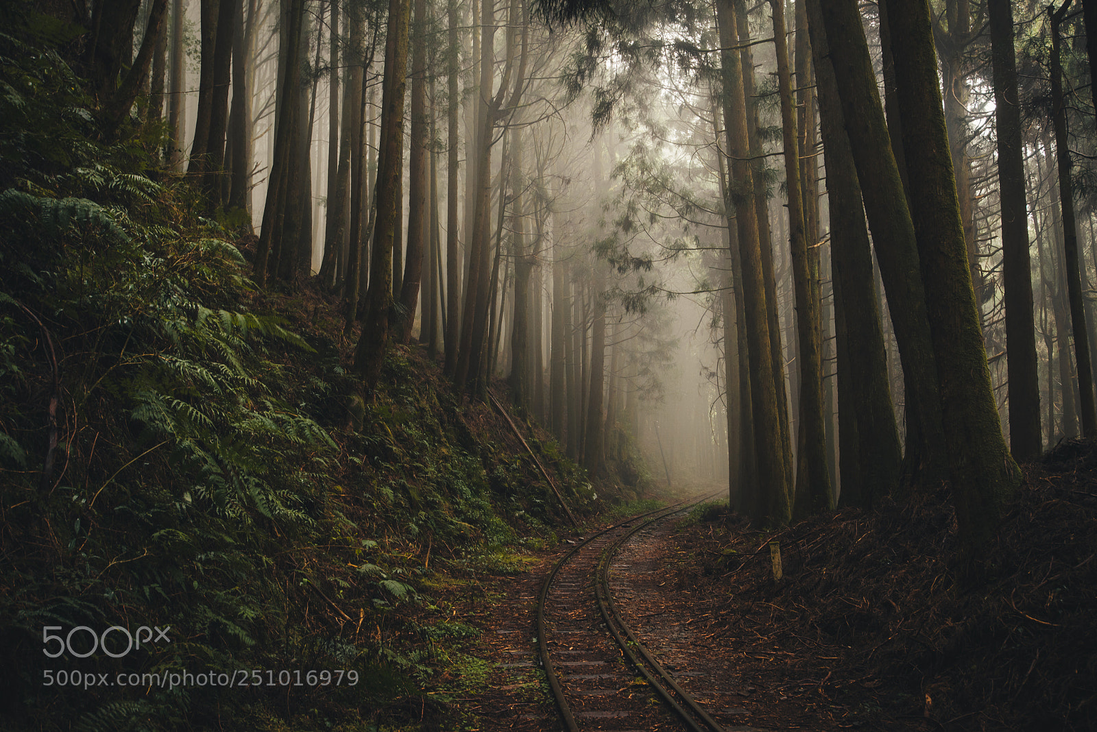Nikon D600 sample photo. Abandoned railway photography