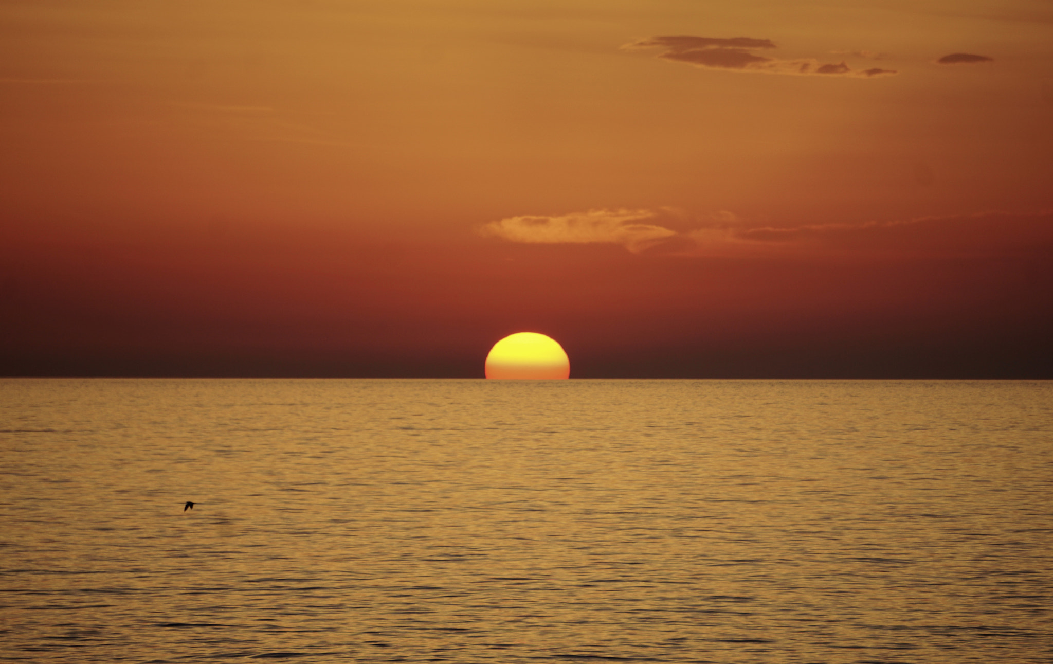 Sony E 55-210mm F4.5-6.3 OSS sample photo. Sunset photography