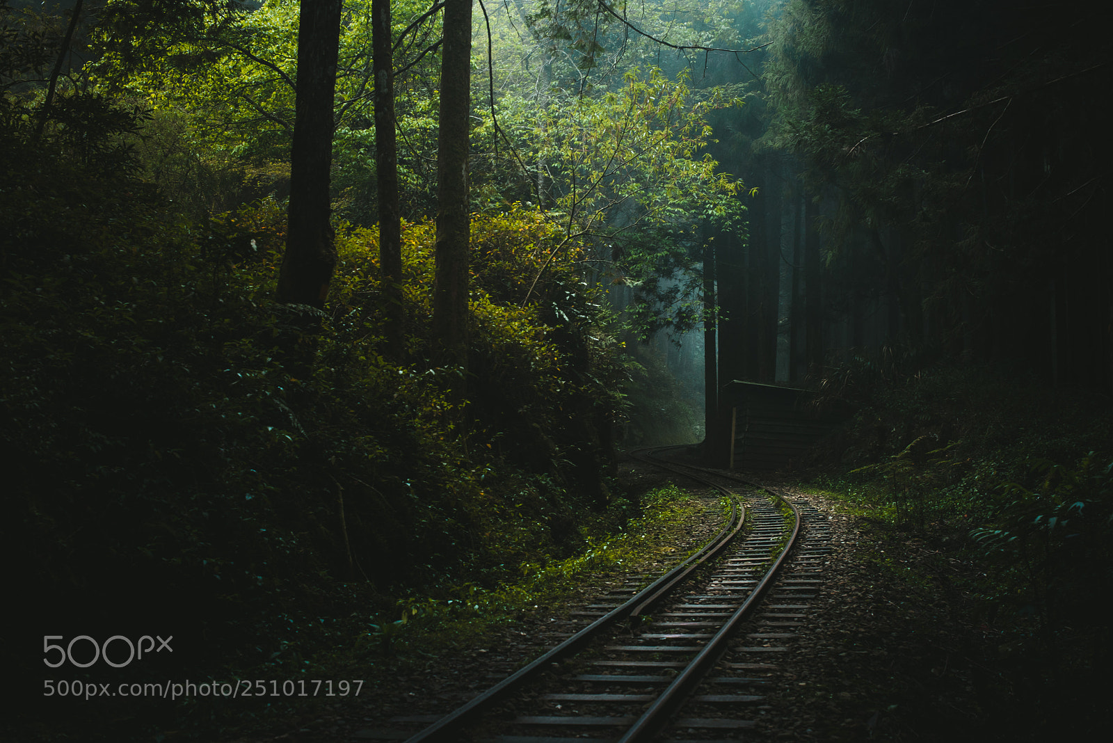 Nikon D600 sample photo. Abandoned railway photography