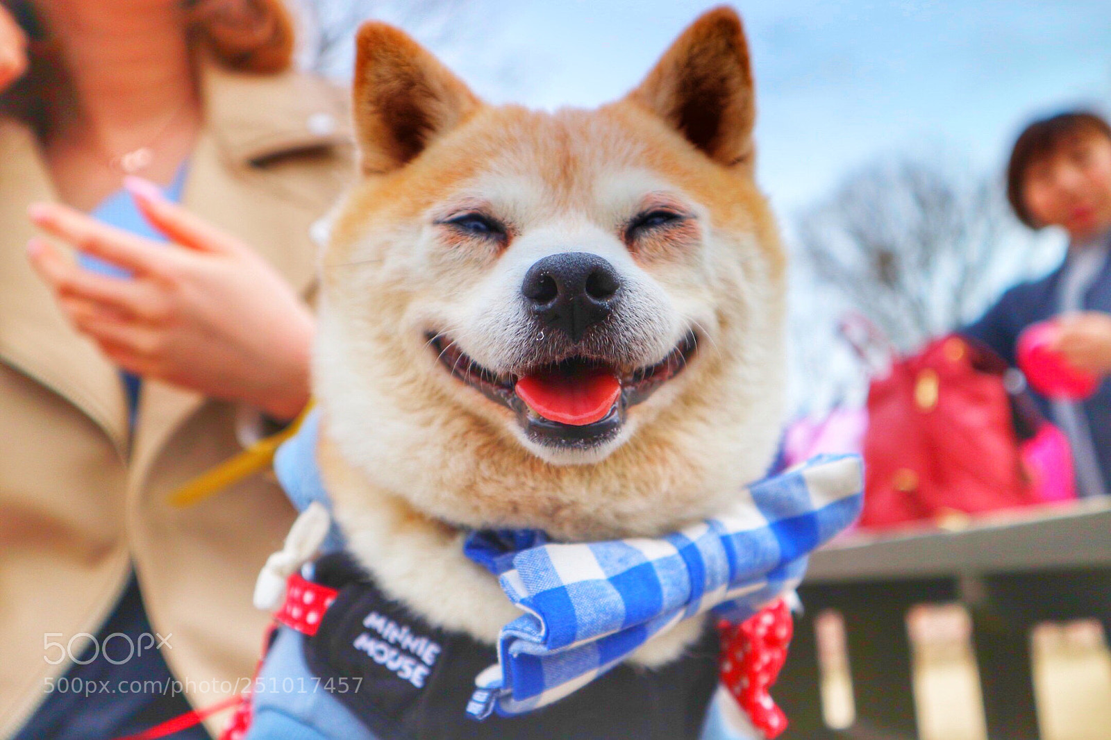 Canon EOS M10 sample photo. Nicesmile photography