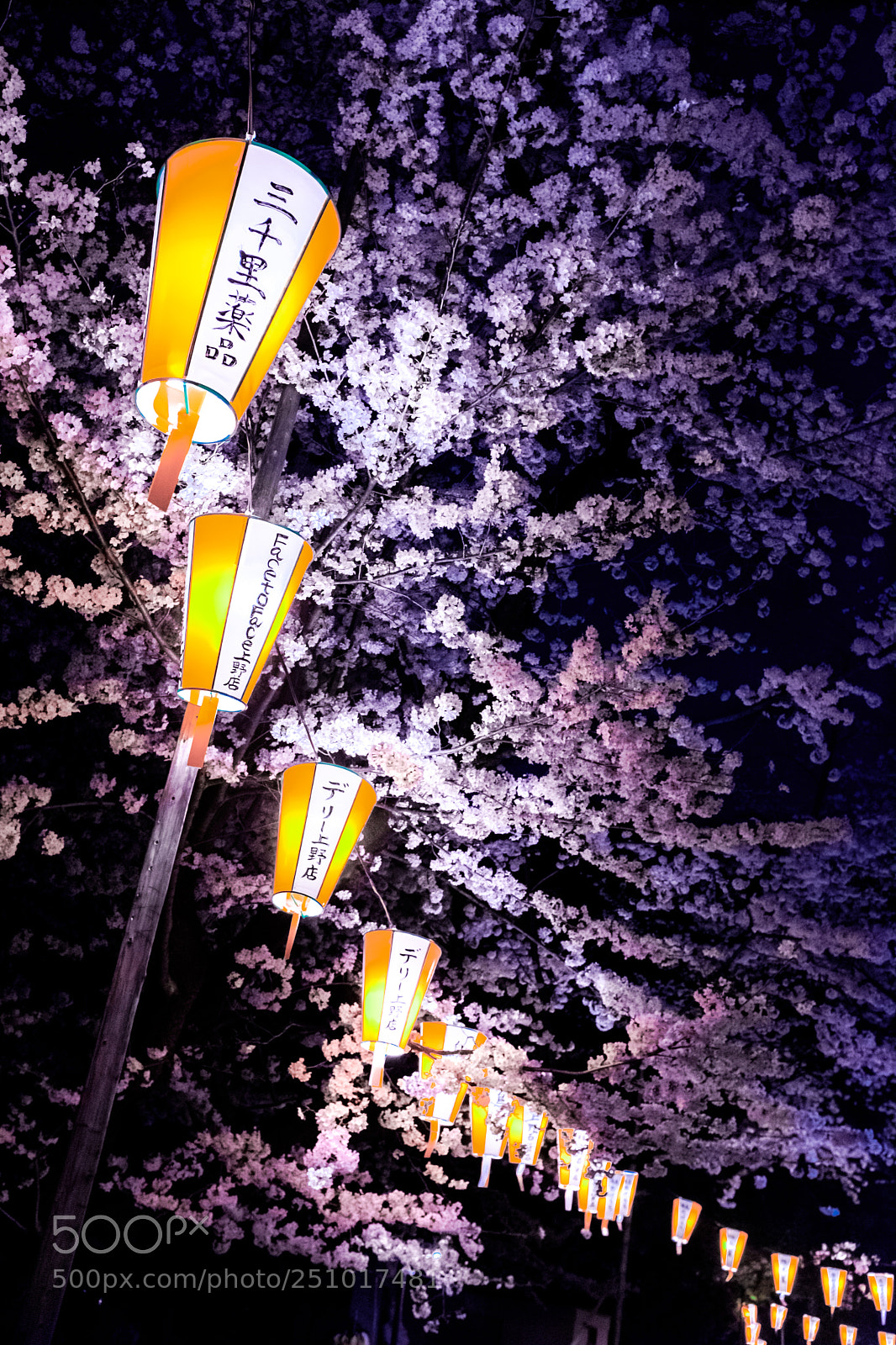 Fujifilm X100F sample photo. Breath of spring photography