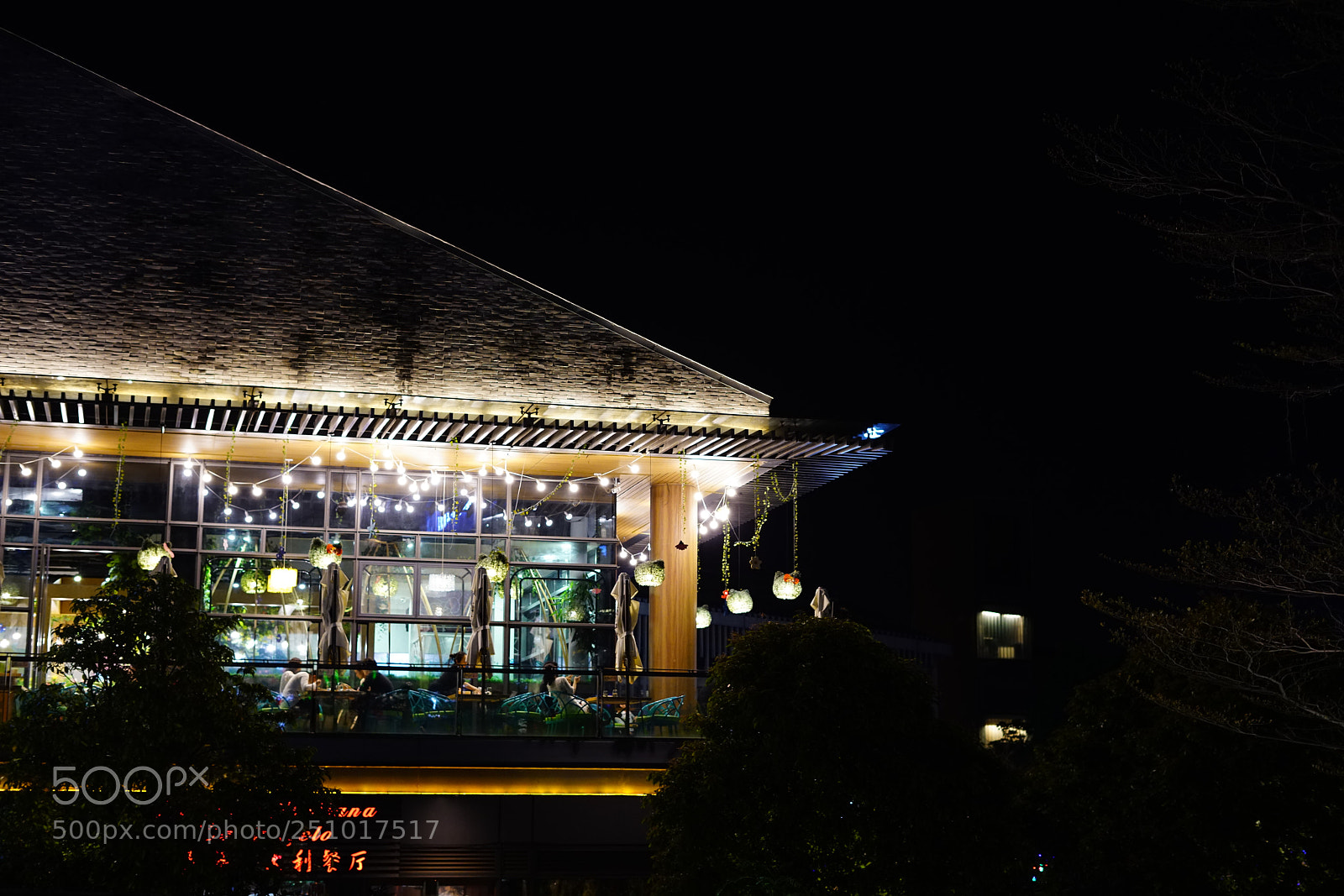 Sony a7R II sample photo. Night in shenzhen photography