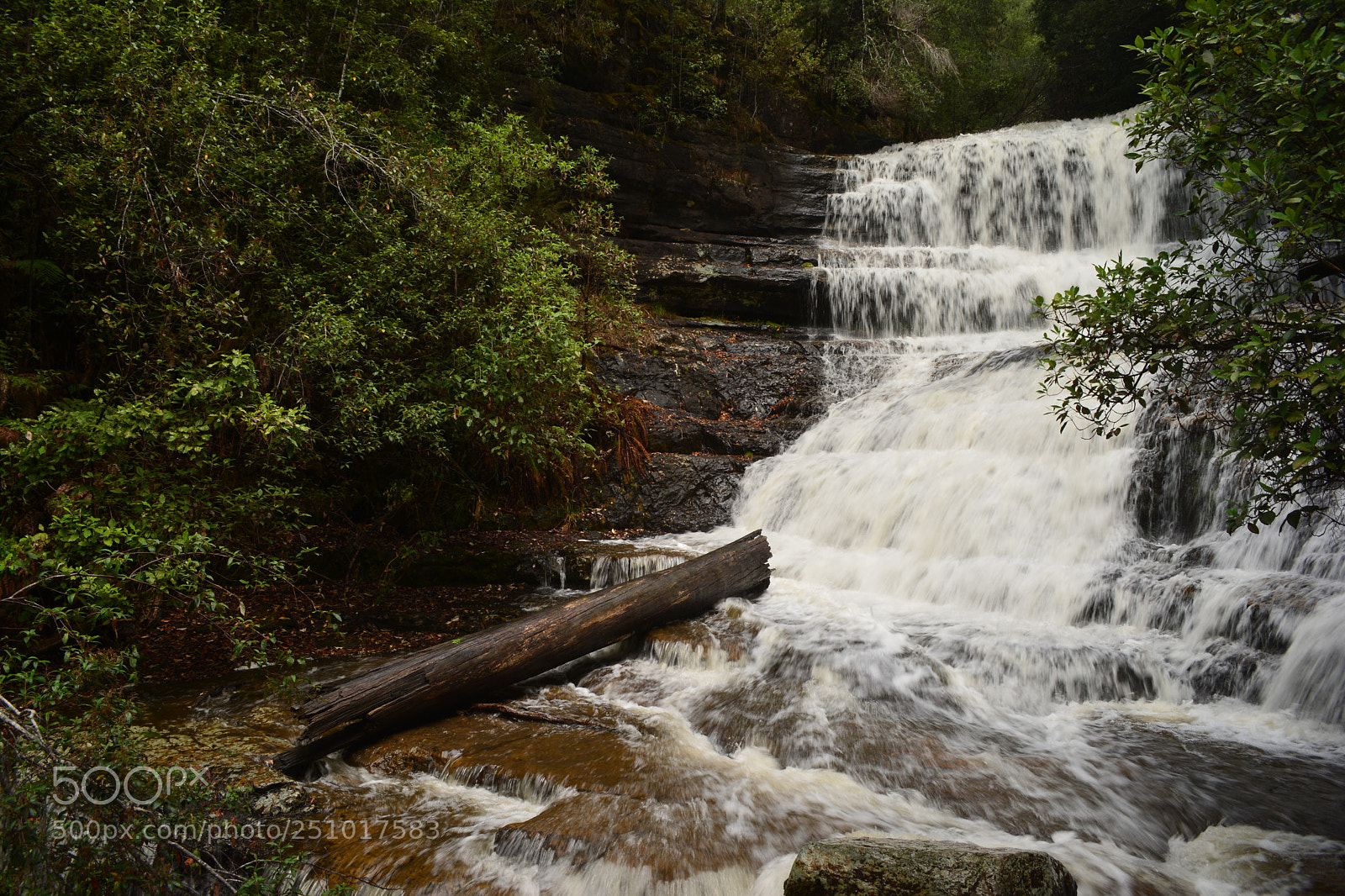 Nikon D5200 sample photo. Lady barron falls photography