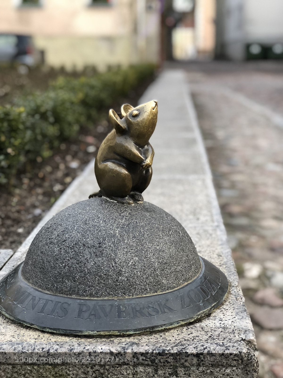 Apple iPhone 8 Plus sample photo. A little mouse in photography