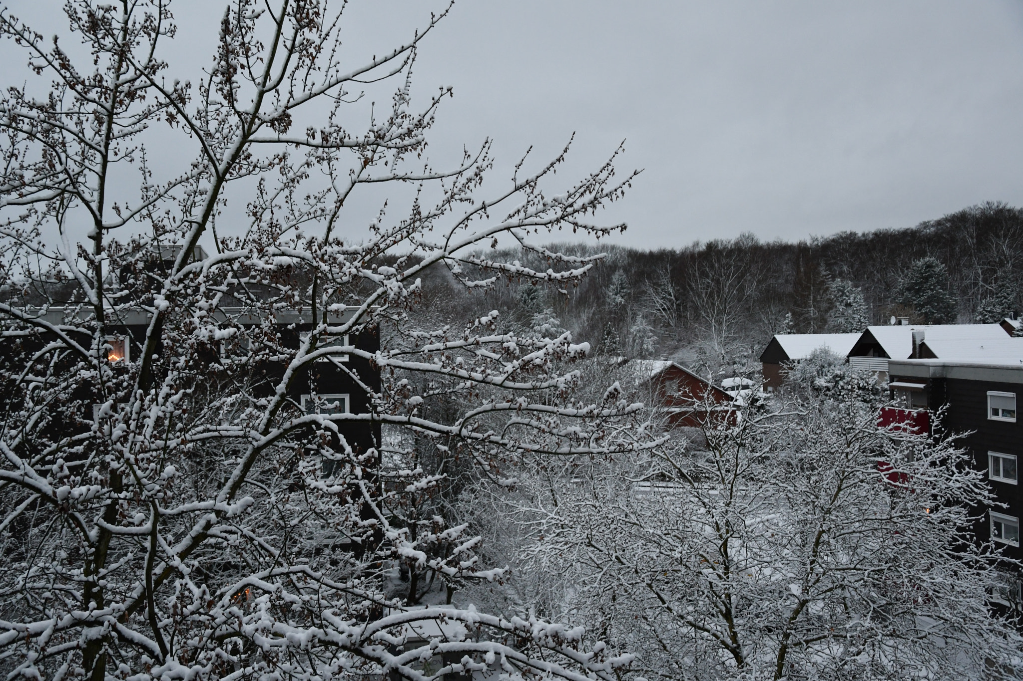 Nikon D7500 sample photo. Winter 2017 photography