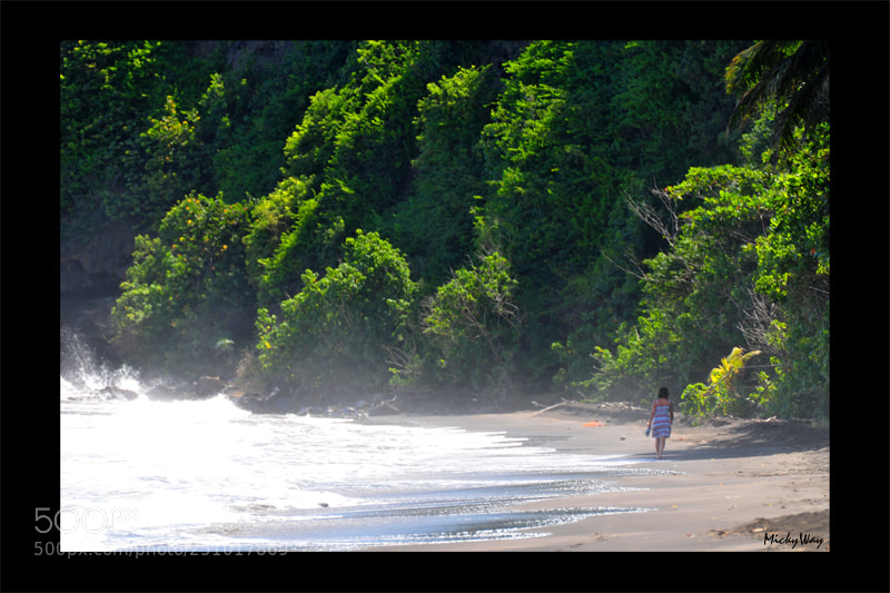 Nikon D300S sample photo. Mickyway photography