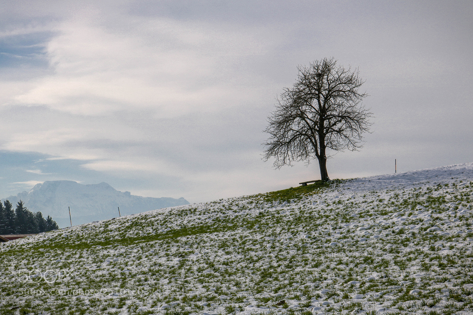 Canon EOS 750D (EOS Rebel T6i / EOS Kiss X8i) sample photo. Ein bisschen fr hling photography