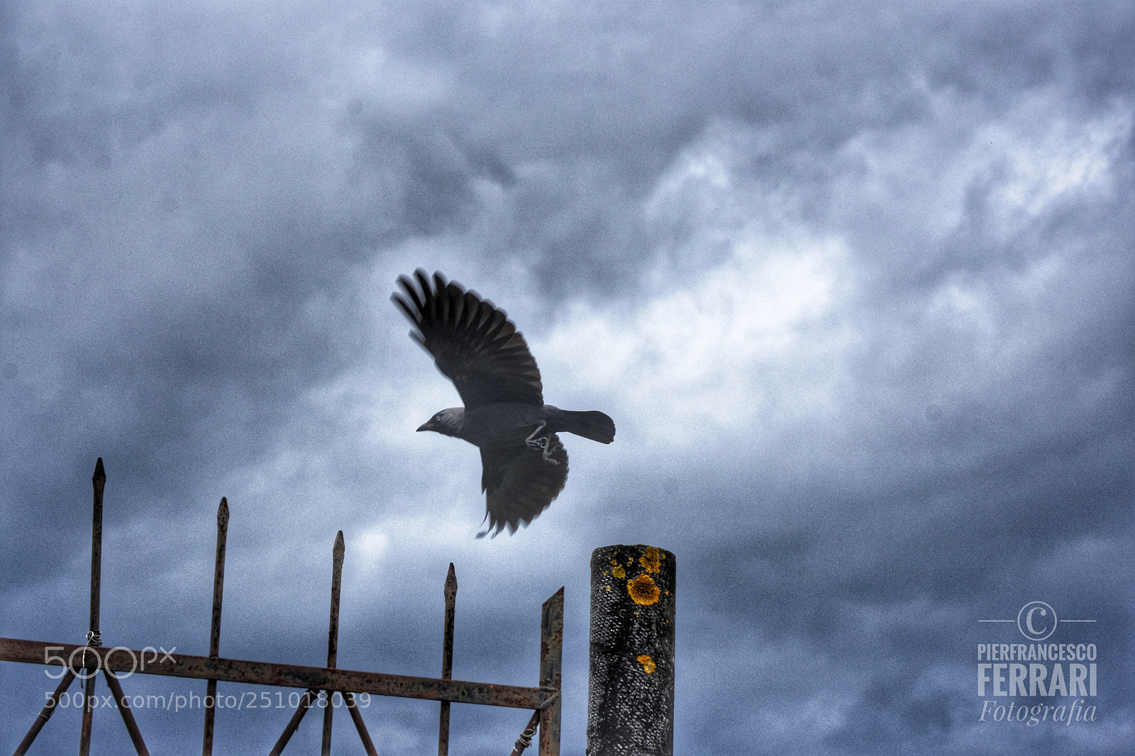 Nikon D7200 sample photo. Al volo freedom crown photography