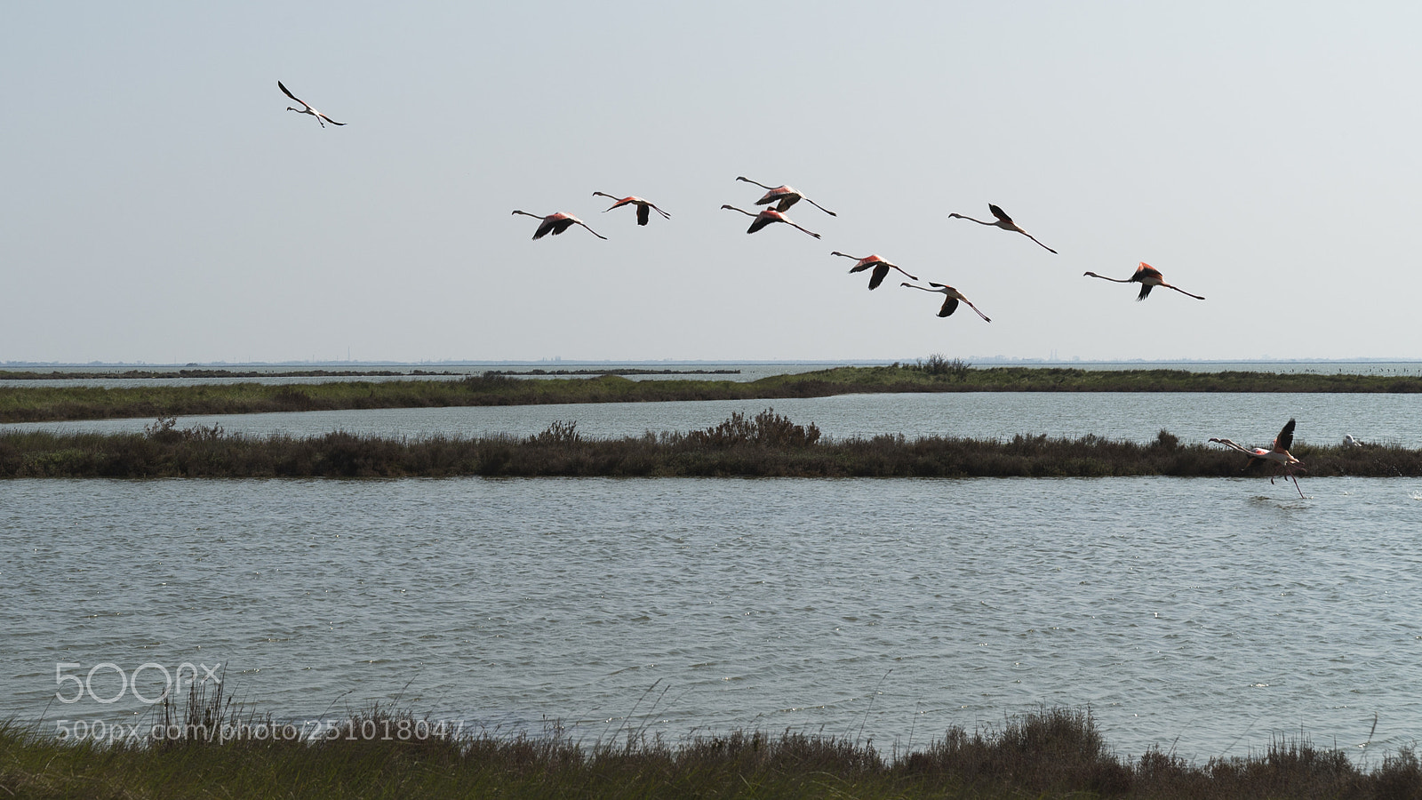 Sony a7S II sample photo. Land and water photography