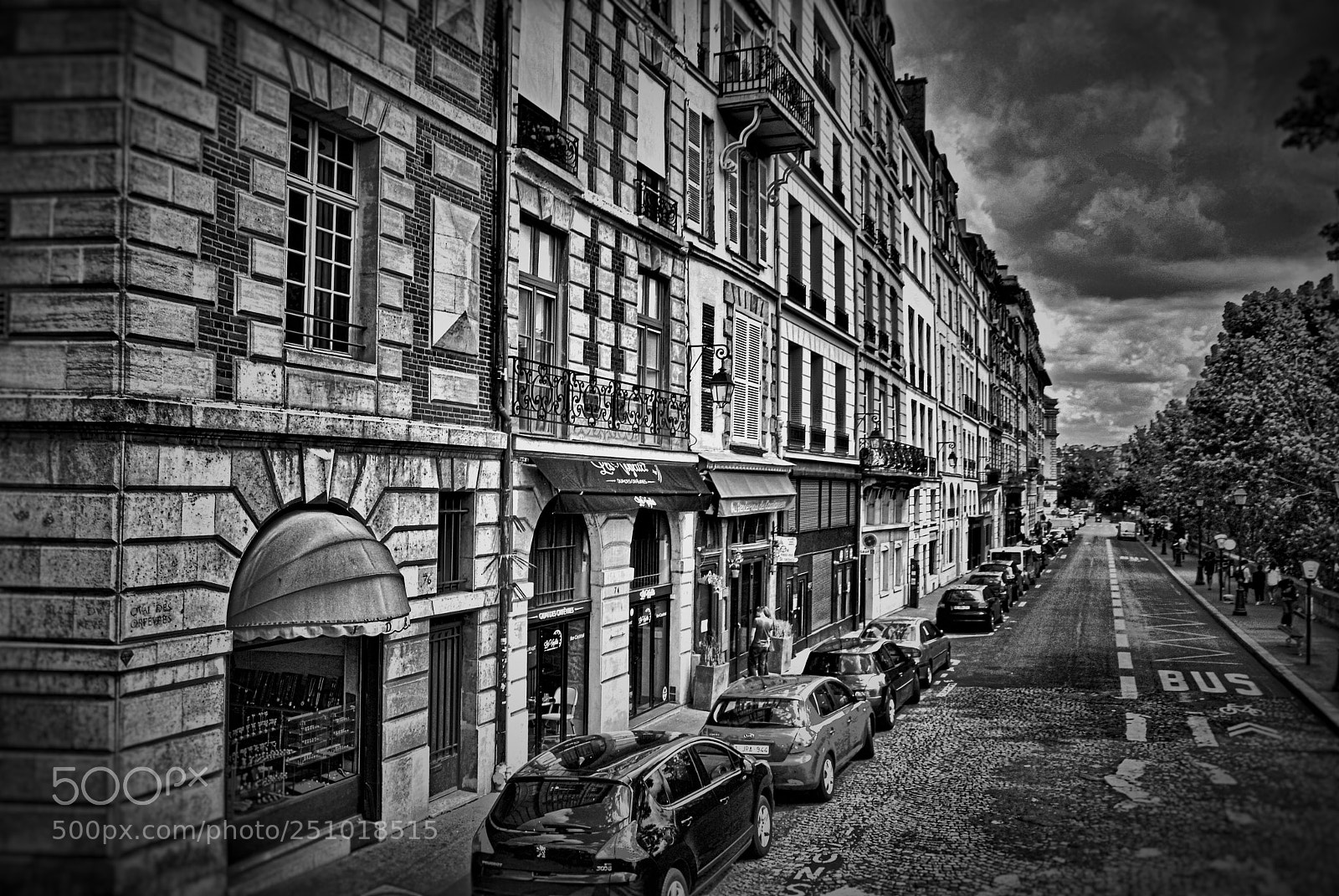 Nikon D60 sample photo. Avenue in paris photography