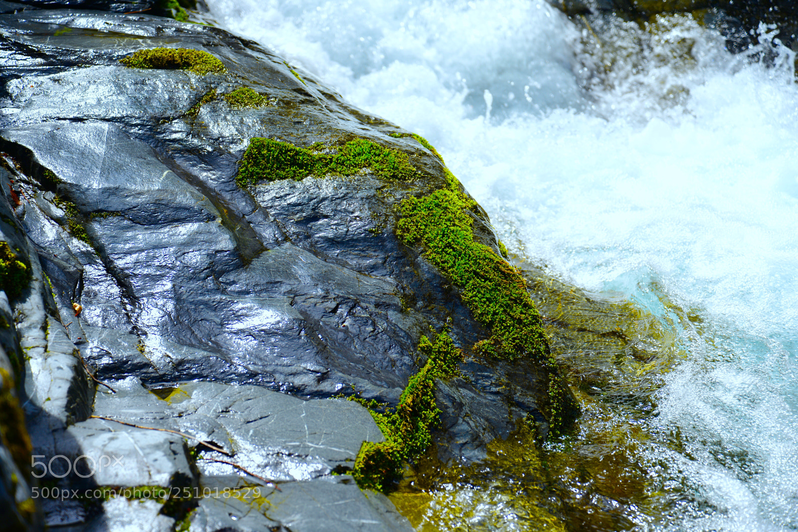 Nikon D800 sample photo. Untitled photography