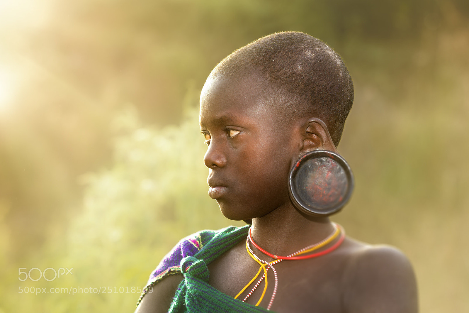 Nikon D810 sample photo. In the golden light photography
