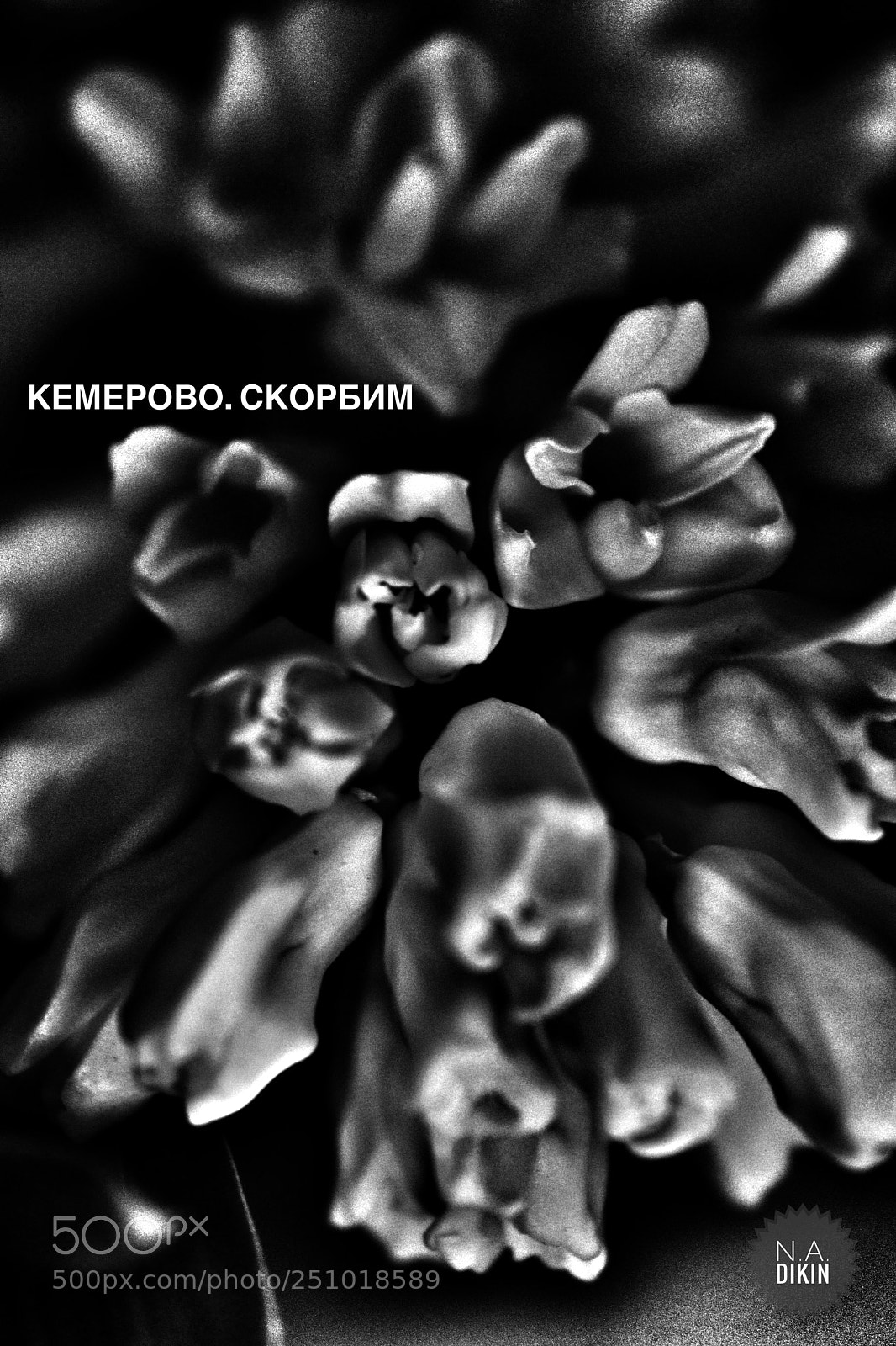 Canon EOS 200D (EOS Rebel SL2 / EOS Kiss X9) sample photo. Kemerovo  photography