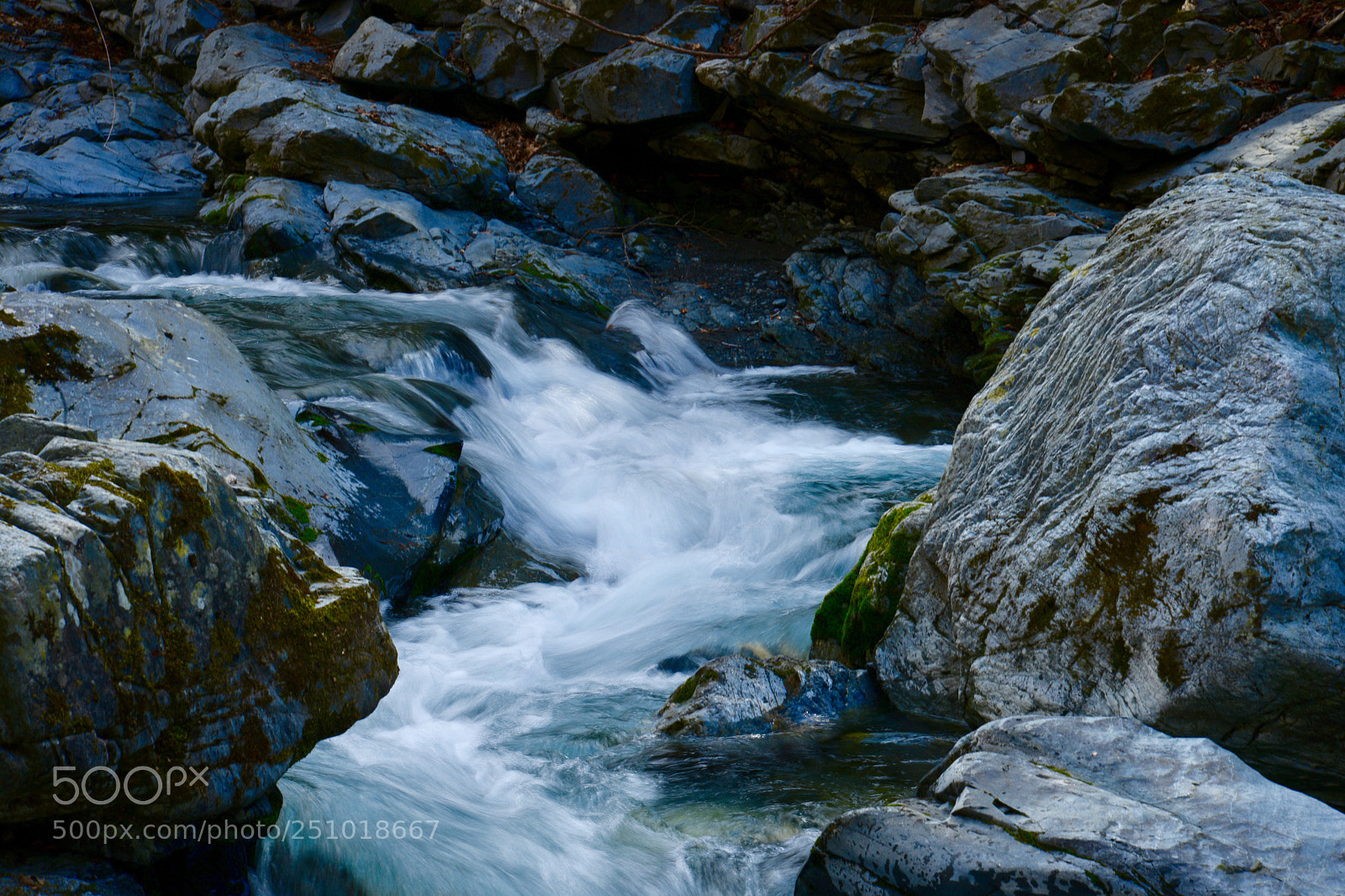 Nikon D800 sample photo. Untitled photography