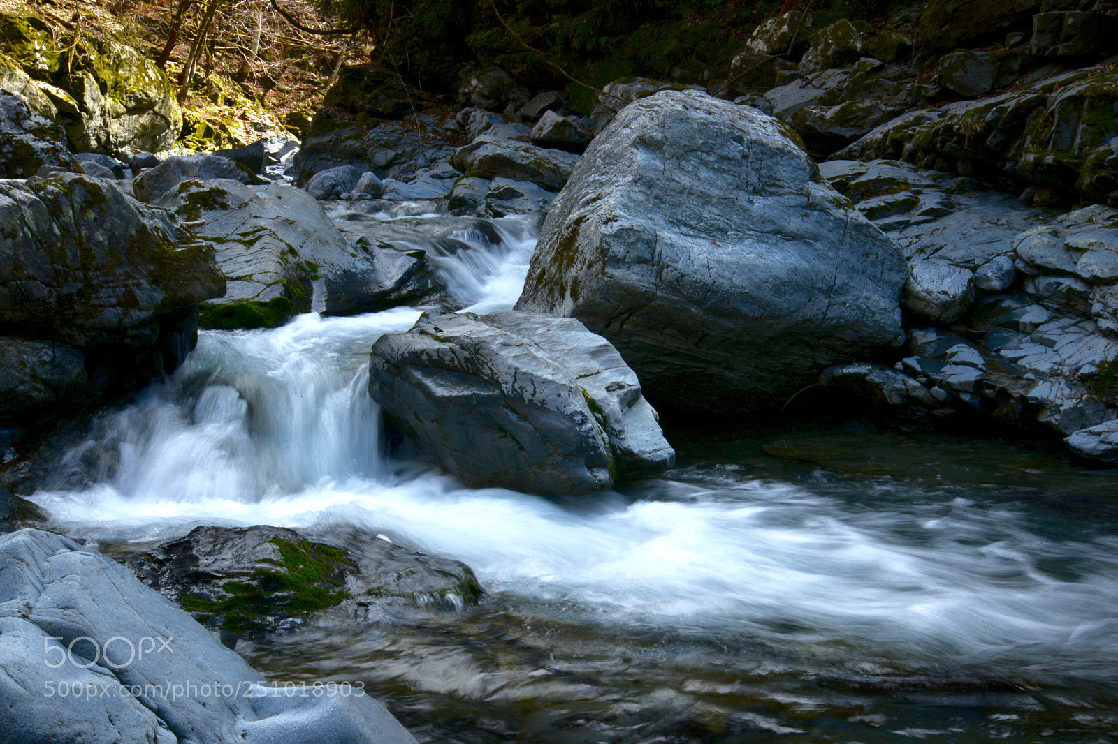 Nikon D800 sample photo. Untitled photography