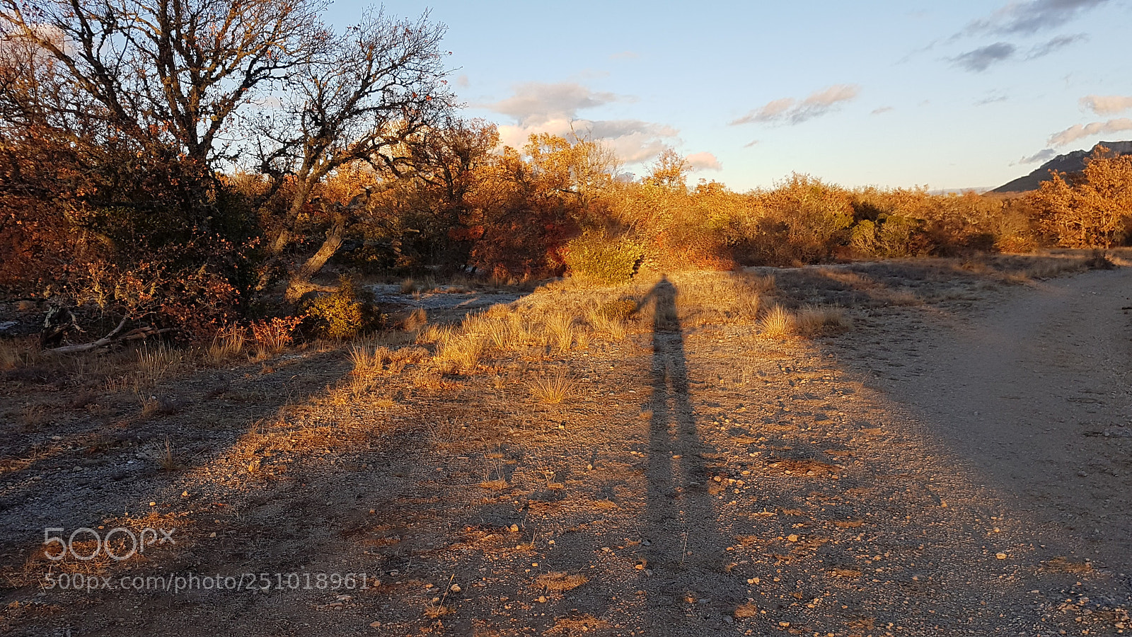 Samsung Galaxy S7 Edge sample photo. Dying light photography
