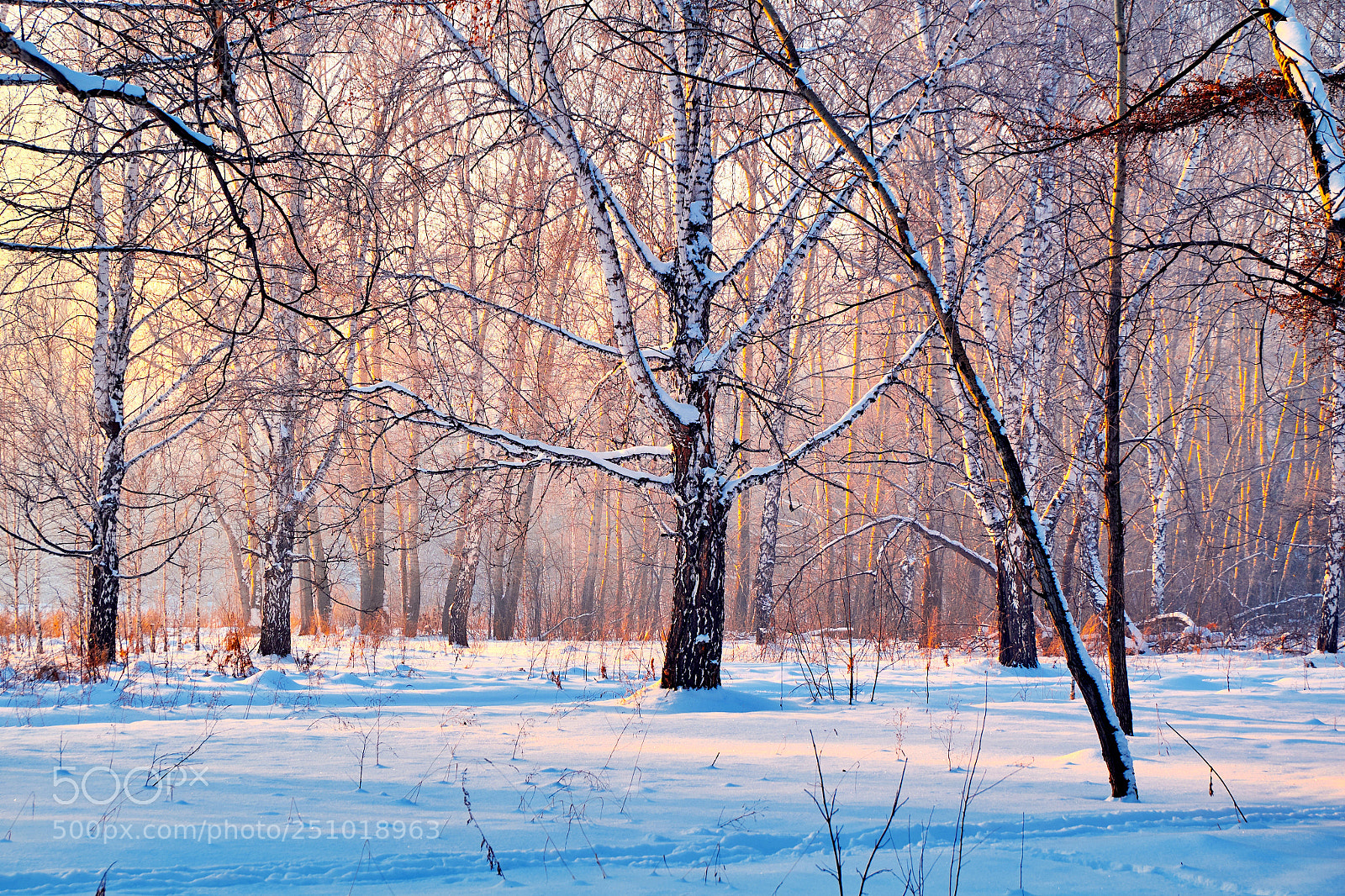 Fujifilm X-M1 sample photo. Glow before sunset photography
