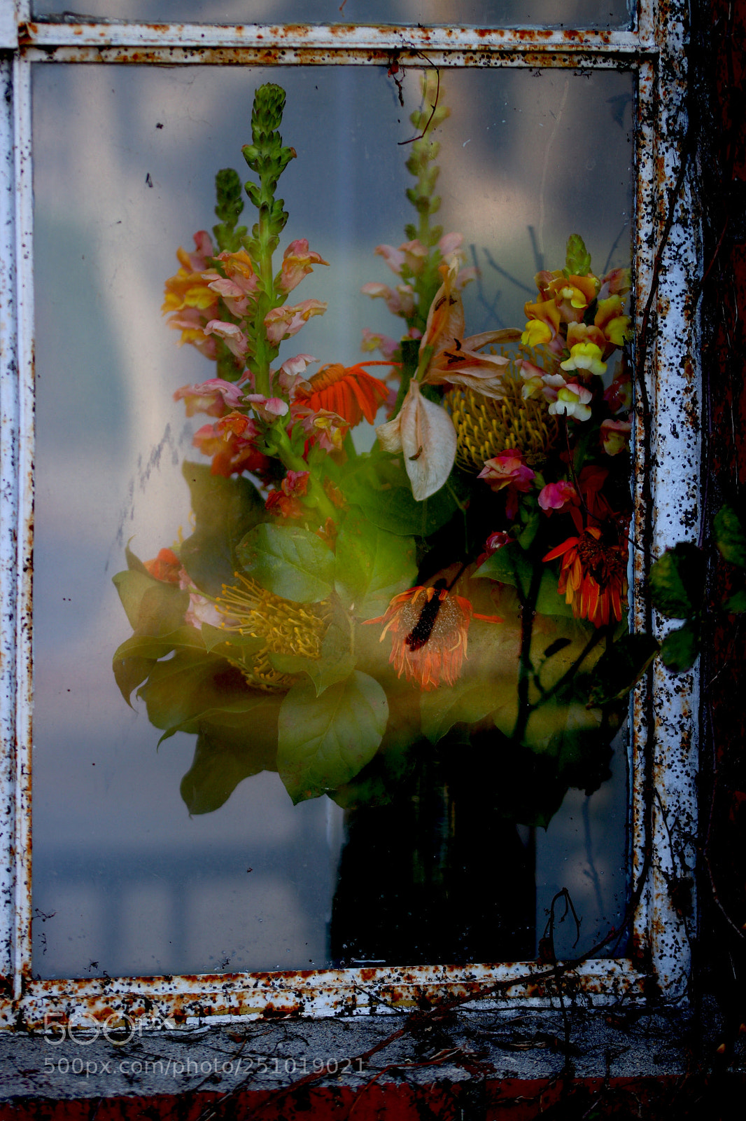 Canon EOS 80D sample photo. The flowers in the photography