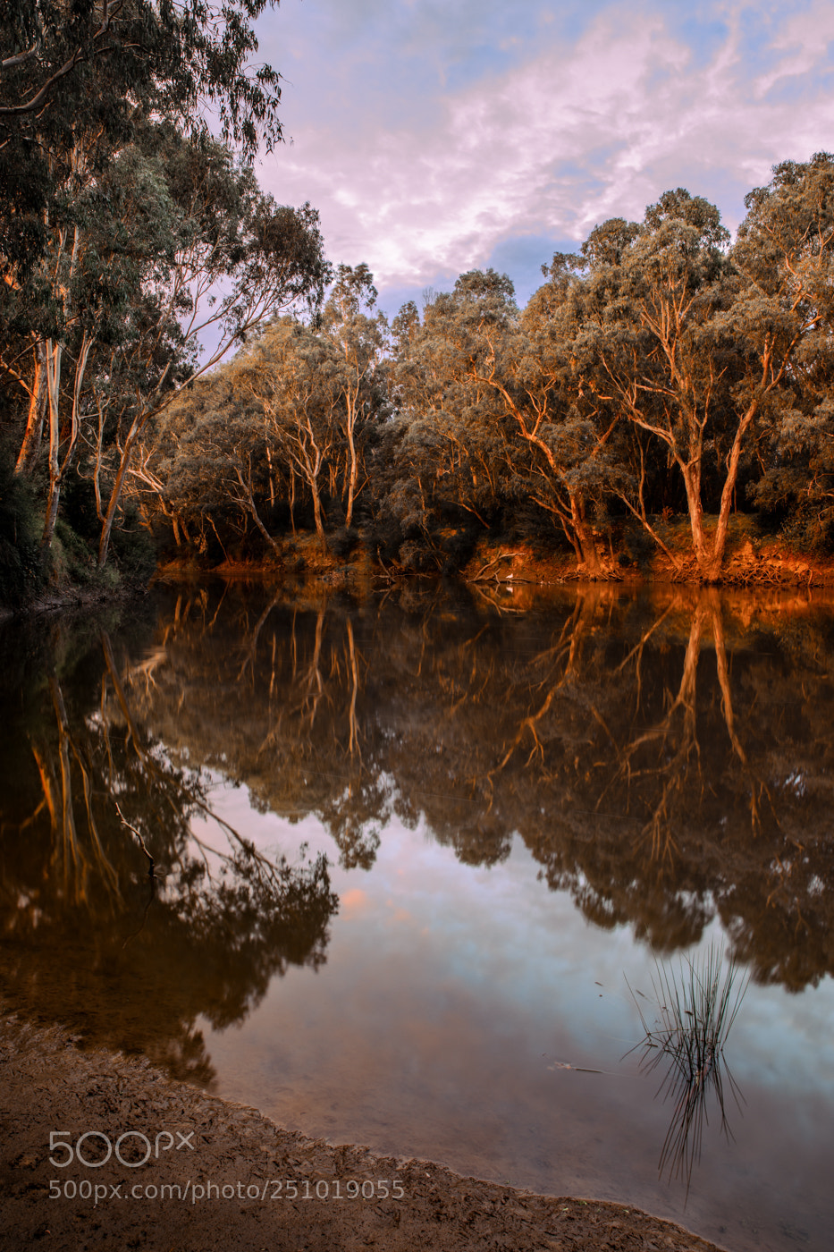 Canon EOS 5D Mark IV sample photo. Sunset over yarra river photography