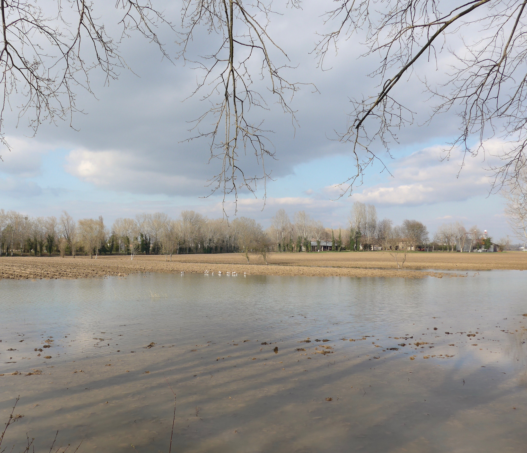 Leica C (Typ 112) sample photo. River landscape in winter photography