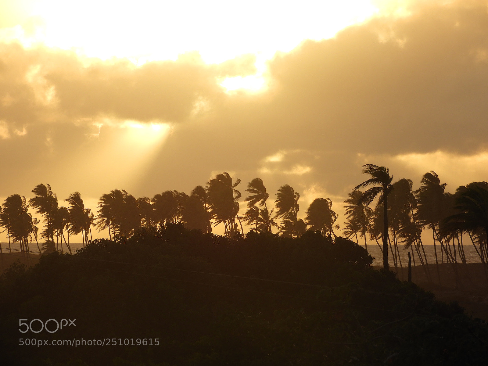 Nikon Coolpix B700 sample photo. Brazil sunset photography